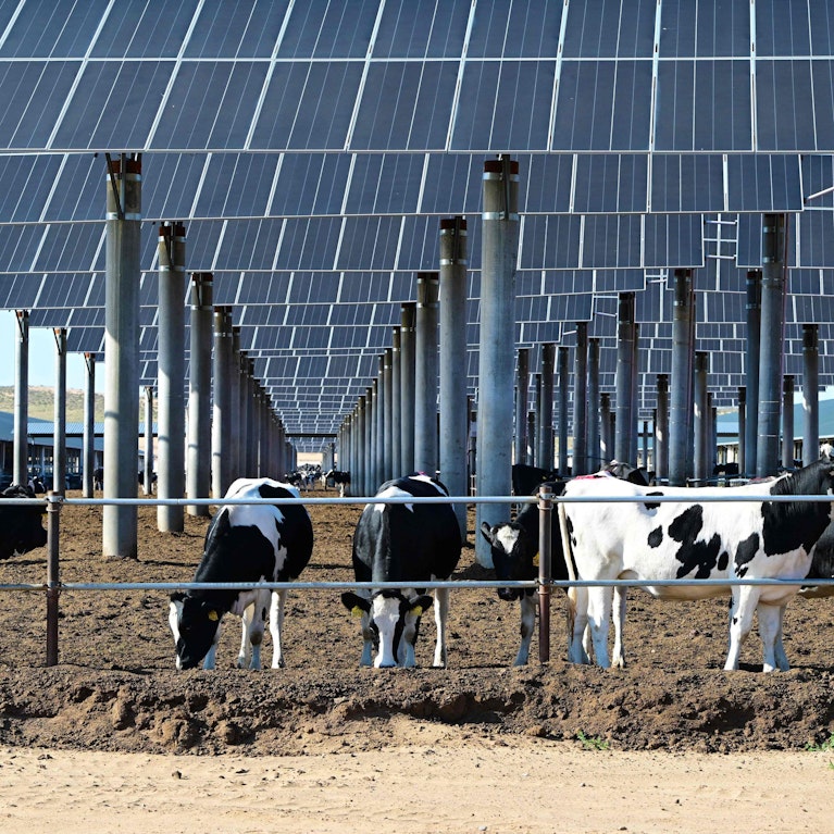 Am 10. November startet der Weltklimagipfel in Brasilien. Die wirkliche Revolution findet abseits davon statt. China erzeugt bereits ein Drittel des weltweiten Stroms und wird im Bereich der sauberen Energie Märkte und Politik neu gestalten. Warum das riskant ist.