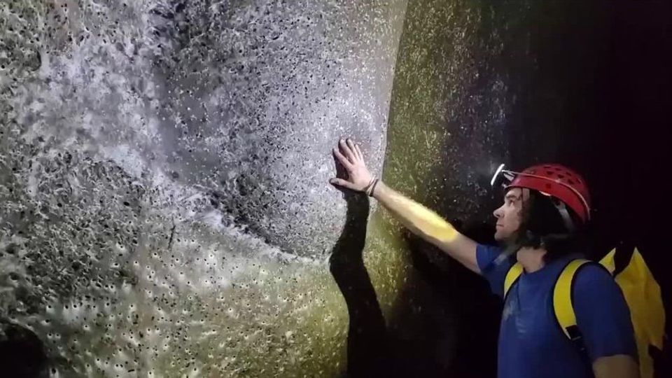 In diesem Spinnennetz leben Schätzungen zufolge mehr als 111.000 Spinnen.