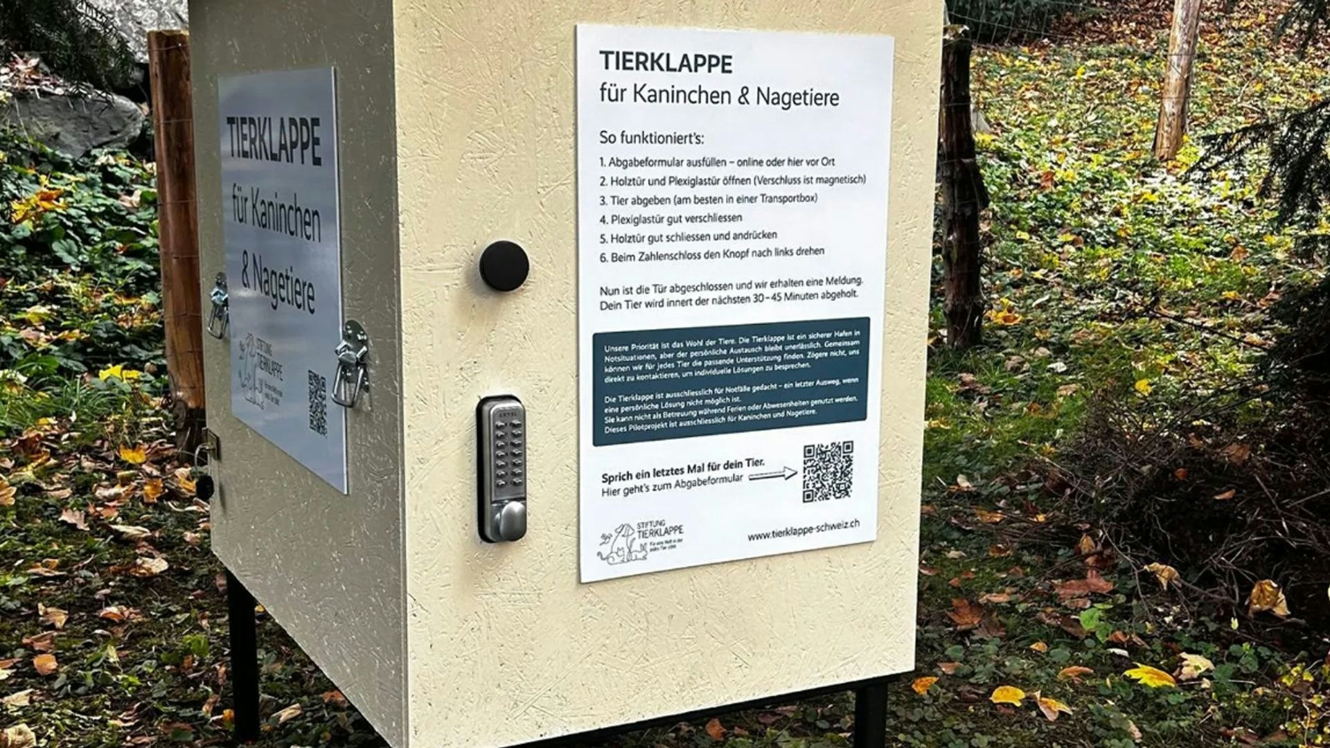 Heute.at - Die erste Tierklappe hat Vor- und Nachteile