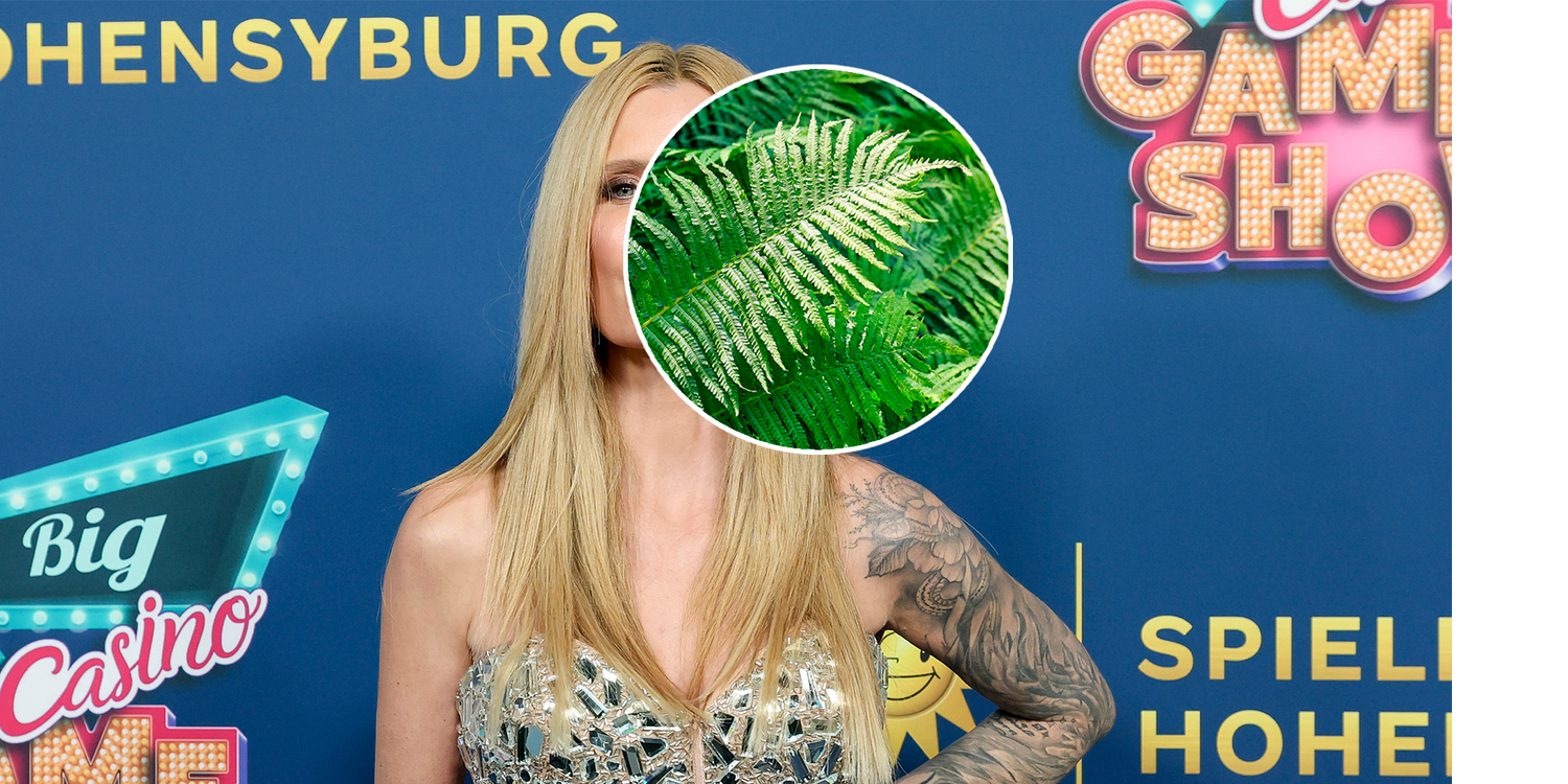 Heute.at - TV-Knaller! SIE soll tatsächlich in den Dschungel gehen