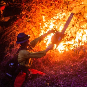 Wieso "Zombie-Feuer" eine so große Gefahr für die Welt sind
