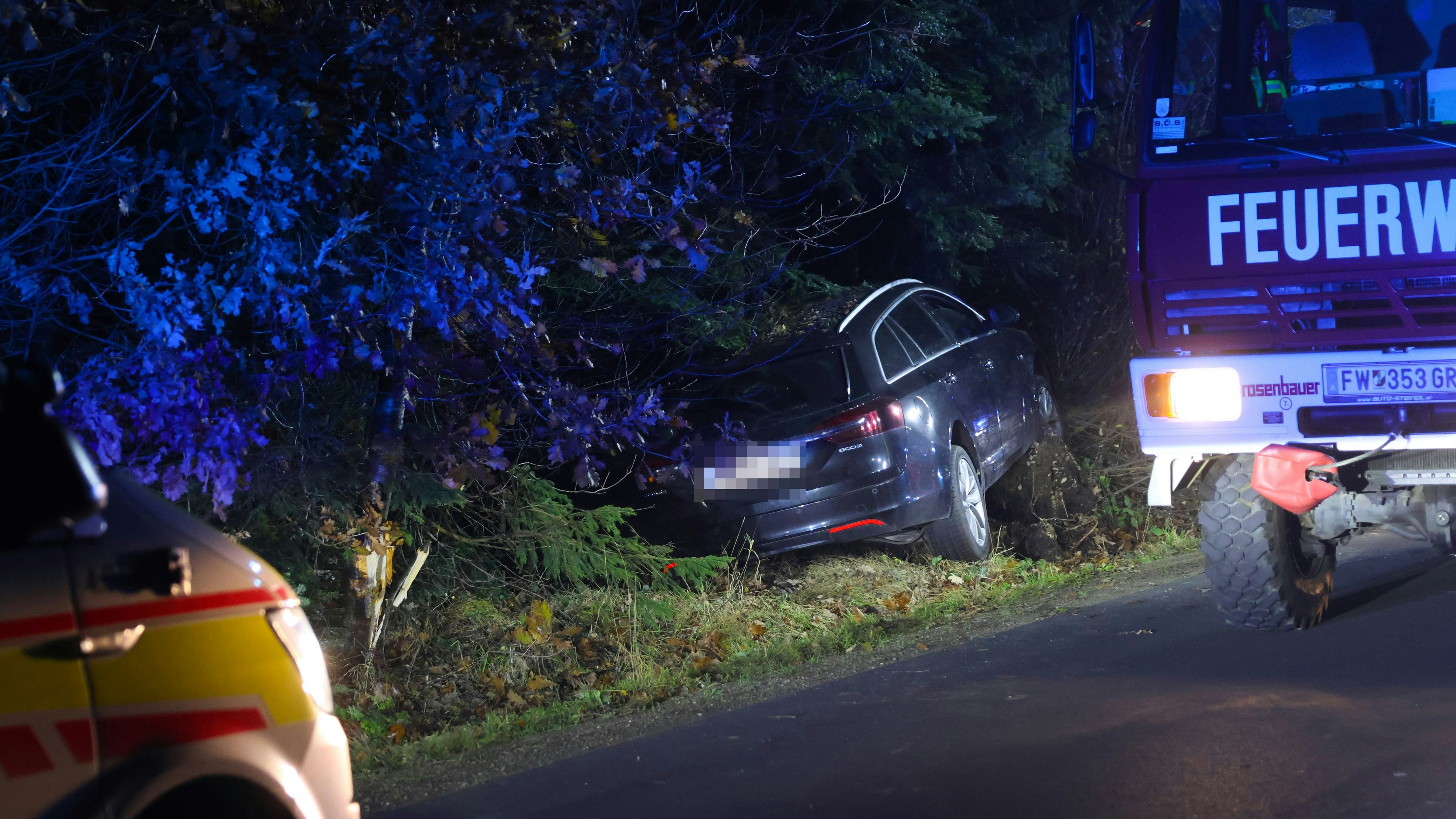 Heute.at - Auto kracht in Waldstück – Frau (52) hat keine Chance
