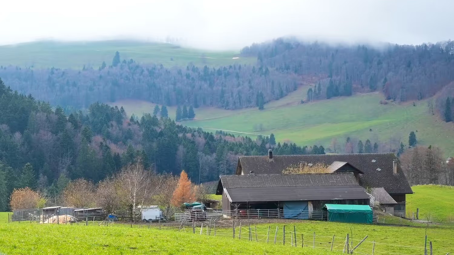 Heute.at - 120 Hunde eingeschläfert – Dorf steht unter Schock