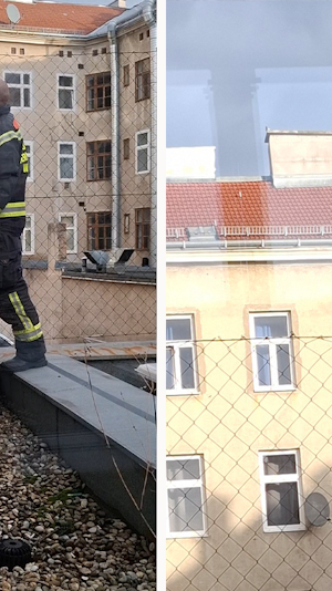 Taubenrettung Wien: Feuerwehr befreit verfangene Taube in Favoriten. Schneller Einsatz für Tierschutz und Sicherheit in der Stadt.