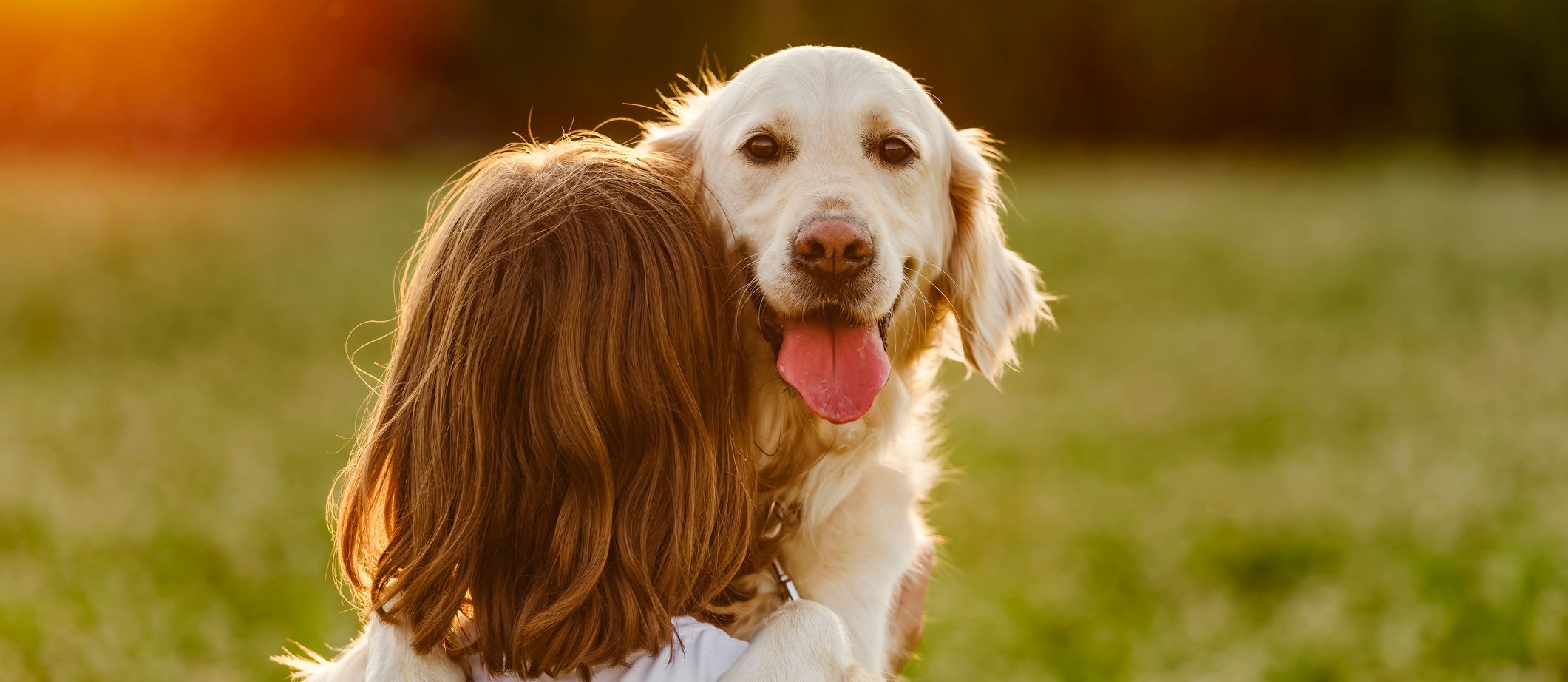 In den USA sind 41 % der Frauen und 50 % der Männer in der Altersgruppe 25–34 maximal in einer Beziehung mit einem Hund