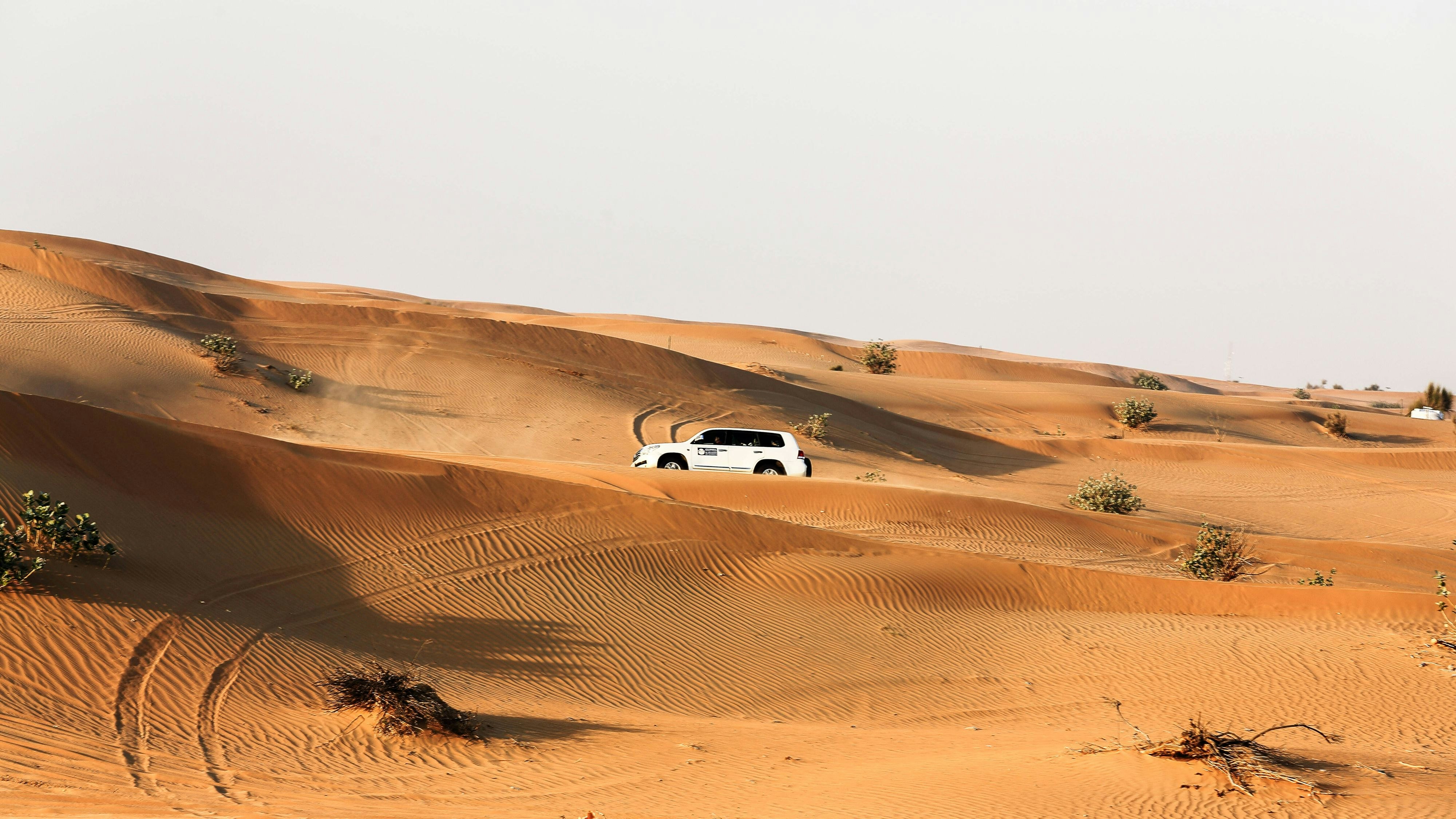 Heute.at - Leichen von Kryptomillionär und Ehefrau gefunden
