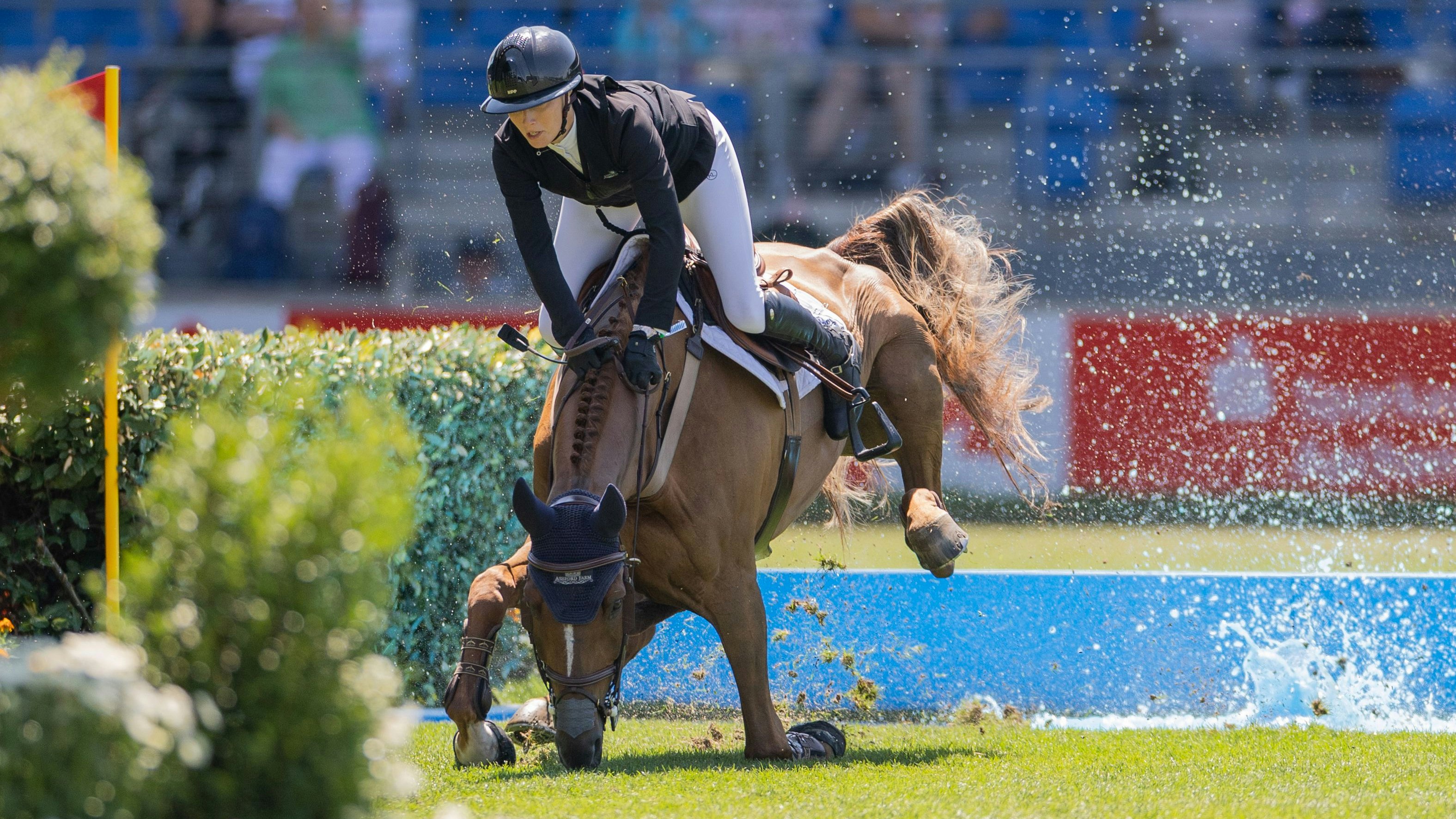 Heute.at - Blut erlaubt! Neue Skandalregelung im Reitsport