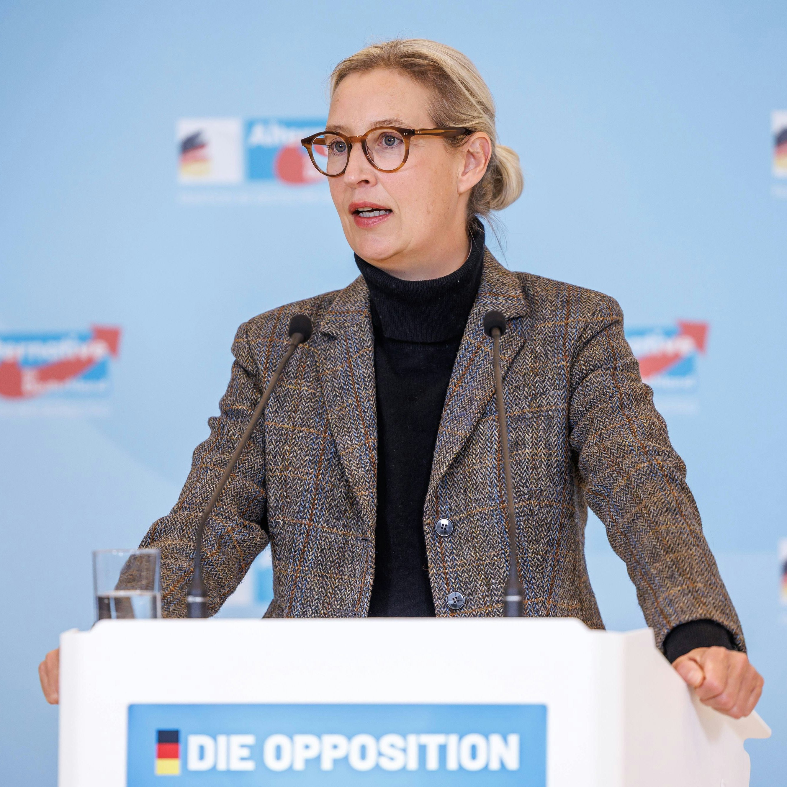 Wegen Russland-Reise – "Parteiausschluss" – Weidel droht AfD-Kollegen | Heute.at