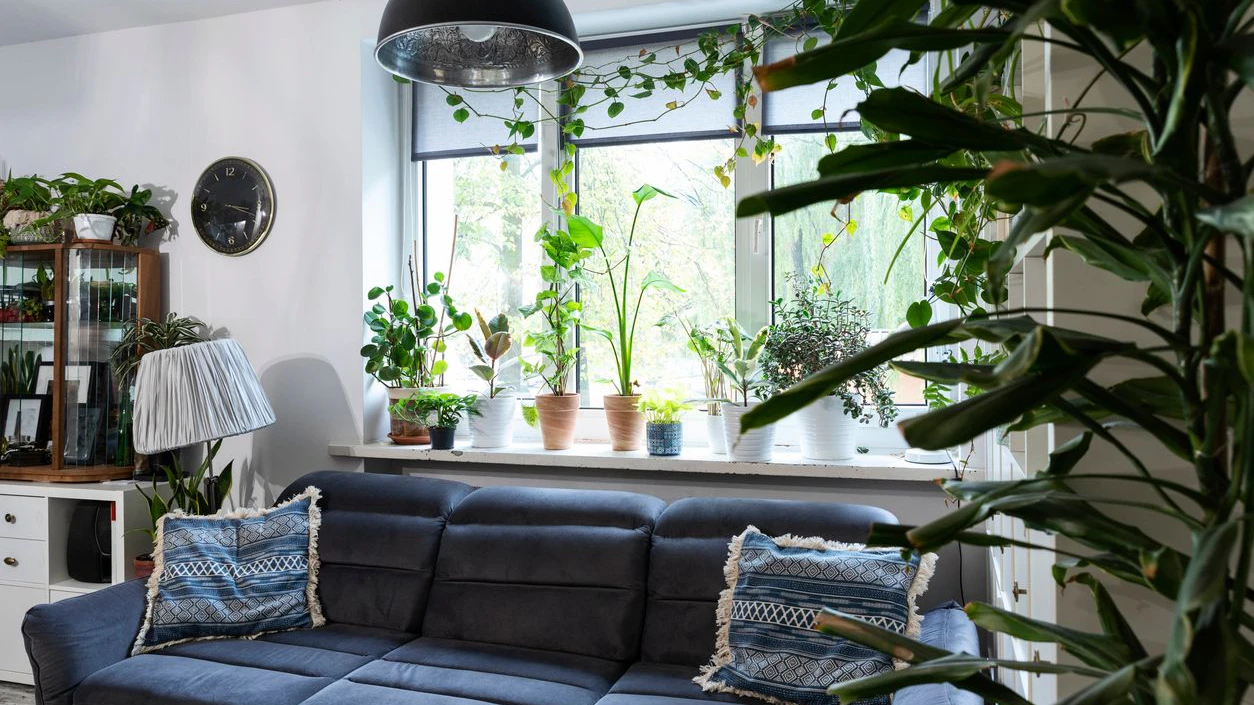 Design interior decor of living room with decoration.