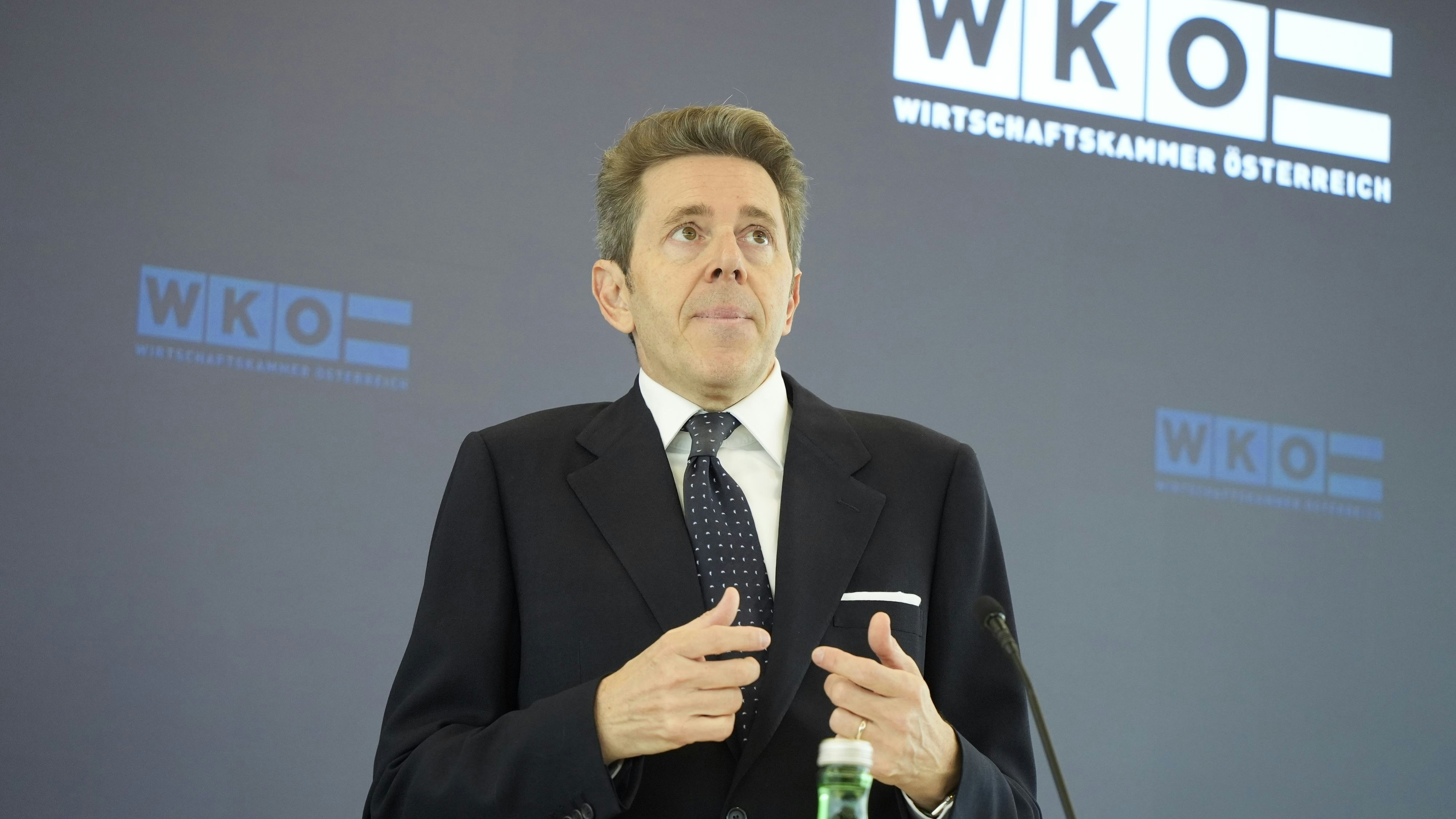 Rücktritt aus der Nationalbank: Rettet das Mahrers Job in der Kammer?