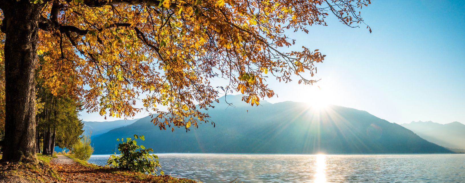 Heute.at - Wahrscheinlichkeit steigt – Frühling im November