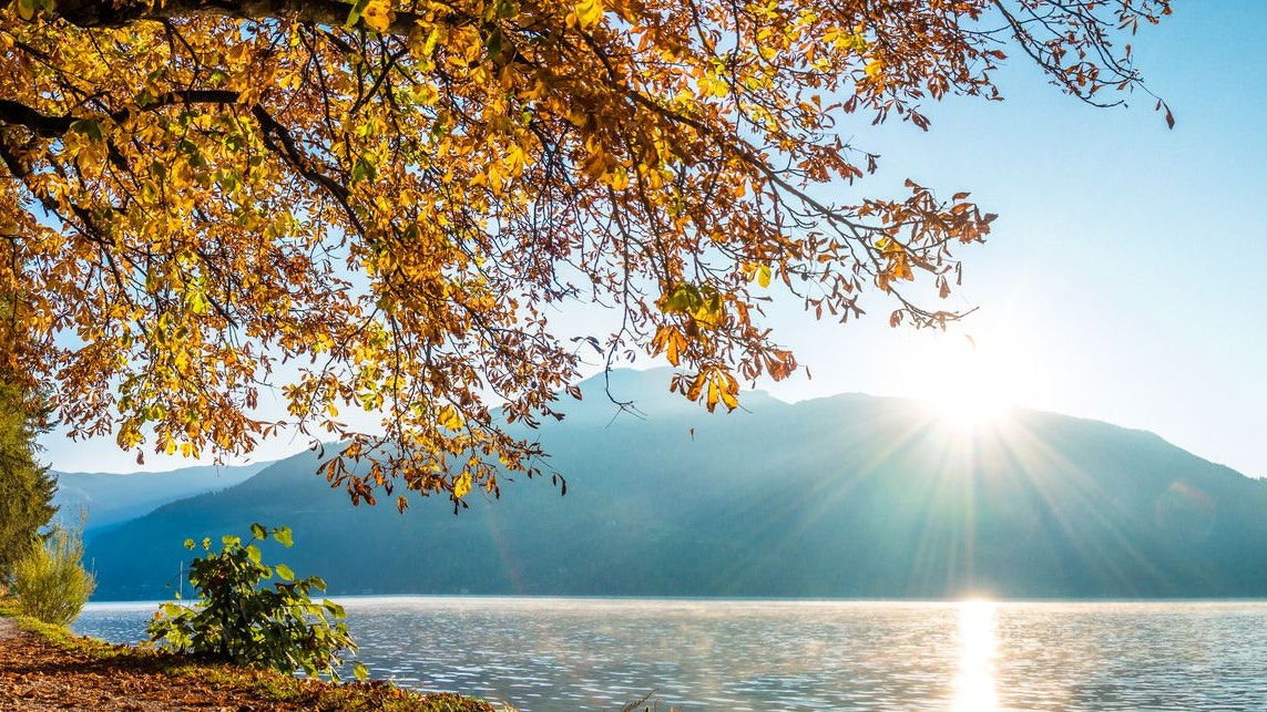 Heute.at - Wahrscheinlichkeit steigt – Frühling im November