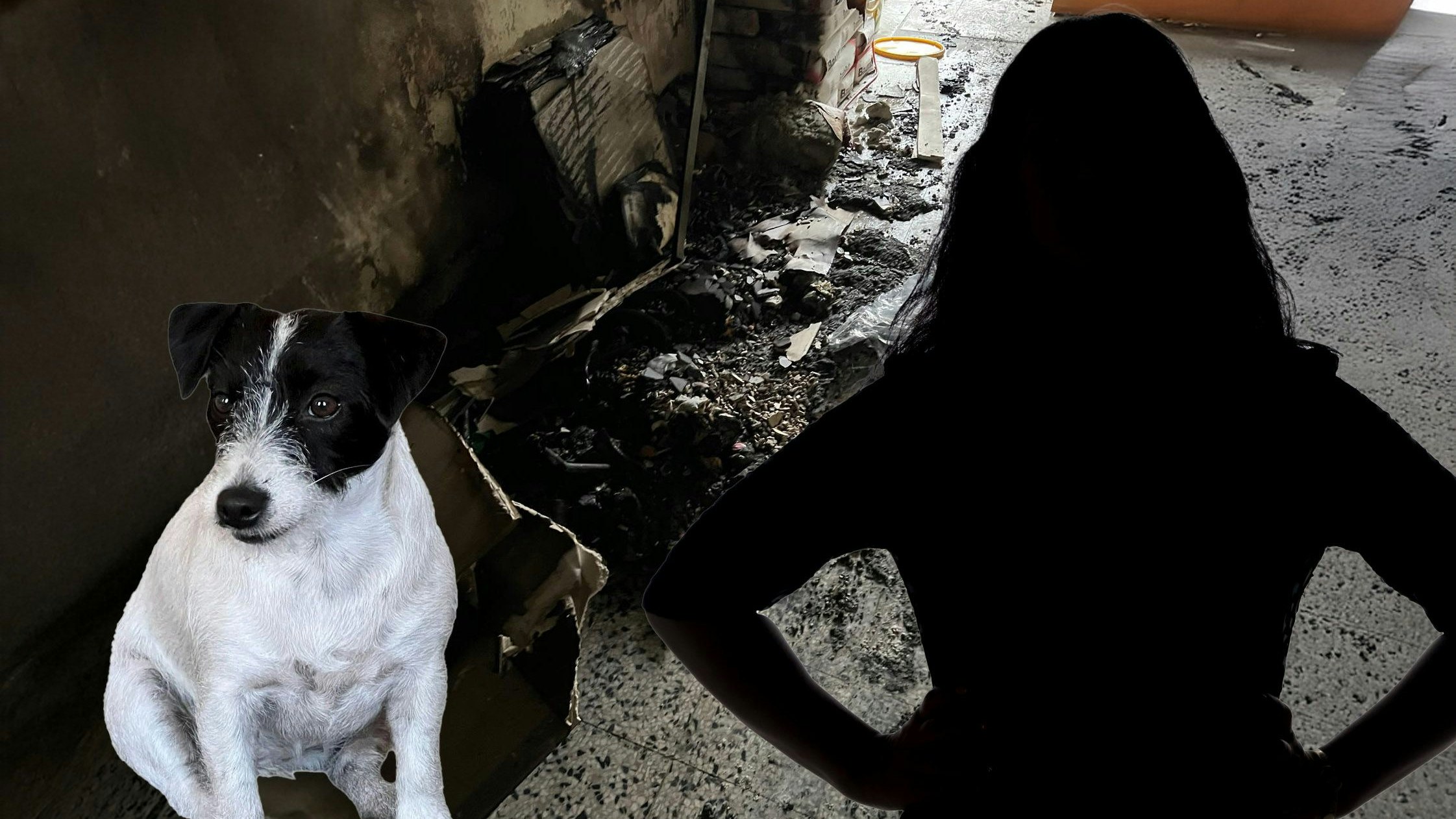 Heute.at - Feuerteufel in Wien – Hund und Hausbewohner gerettet