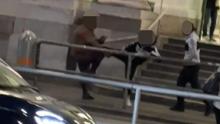 Unfassbare Szenen spielten sich in Wien-Währing ab.