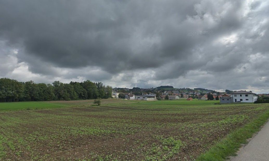 Im Gemeindegebiet von Steegen bei Grieskirchen kam es zu der Attacke.