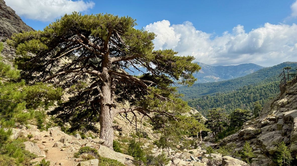 Heute.at - Leiche von vermisstem Familienvater gefunden