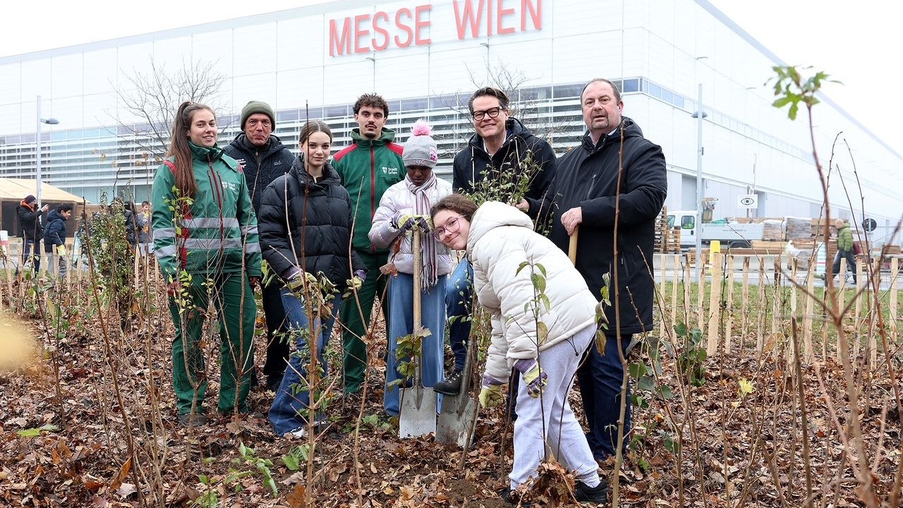 Heute.at - Vor der Messe entsteht nun ein Wiener Wäldchen