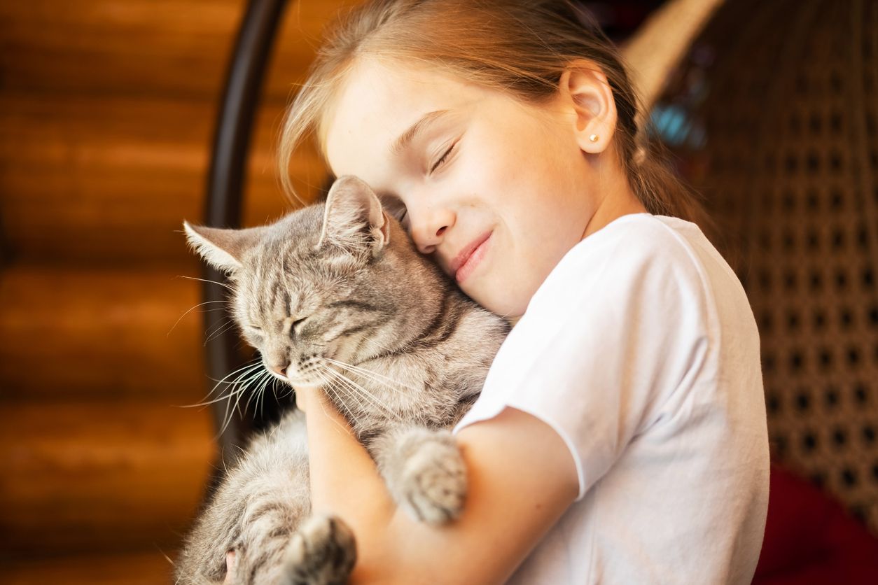 Heute.at - Puurrrfekte Ergebnisse bei Kindern durch Dr. Katze