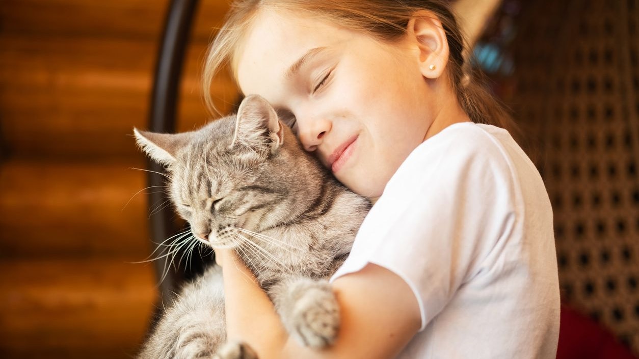 Heute.at - Puurrrfekte Ergebnisse bei Kindern durch Dr. Katze