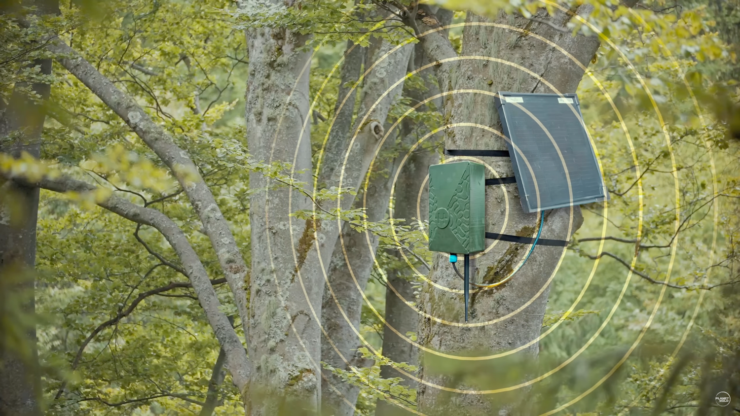 Waldabhörgerät von "Hula Earth" aus München