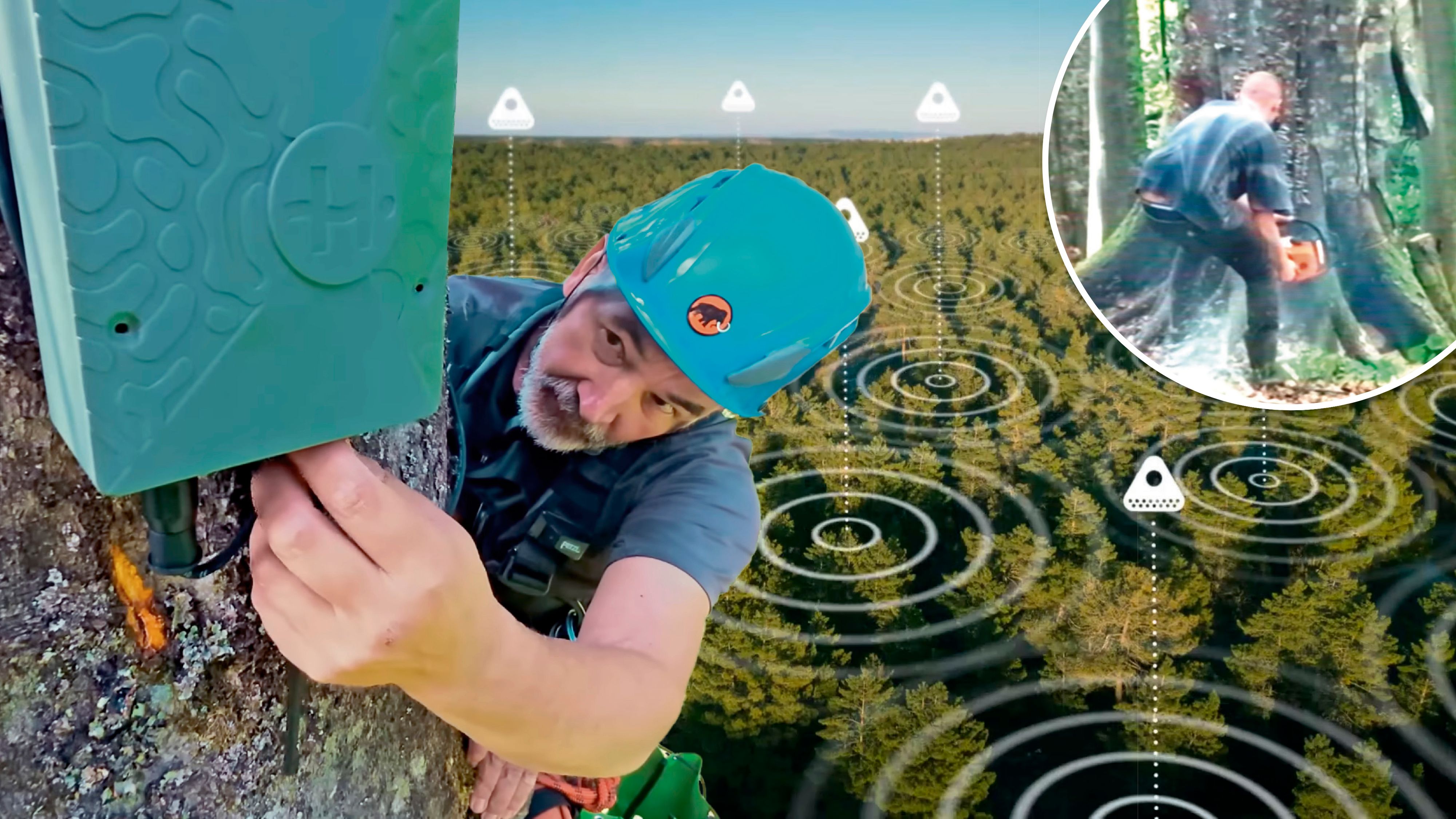 Heute.at - Lauschangriff soll letzte Urwälder Europas retten