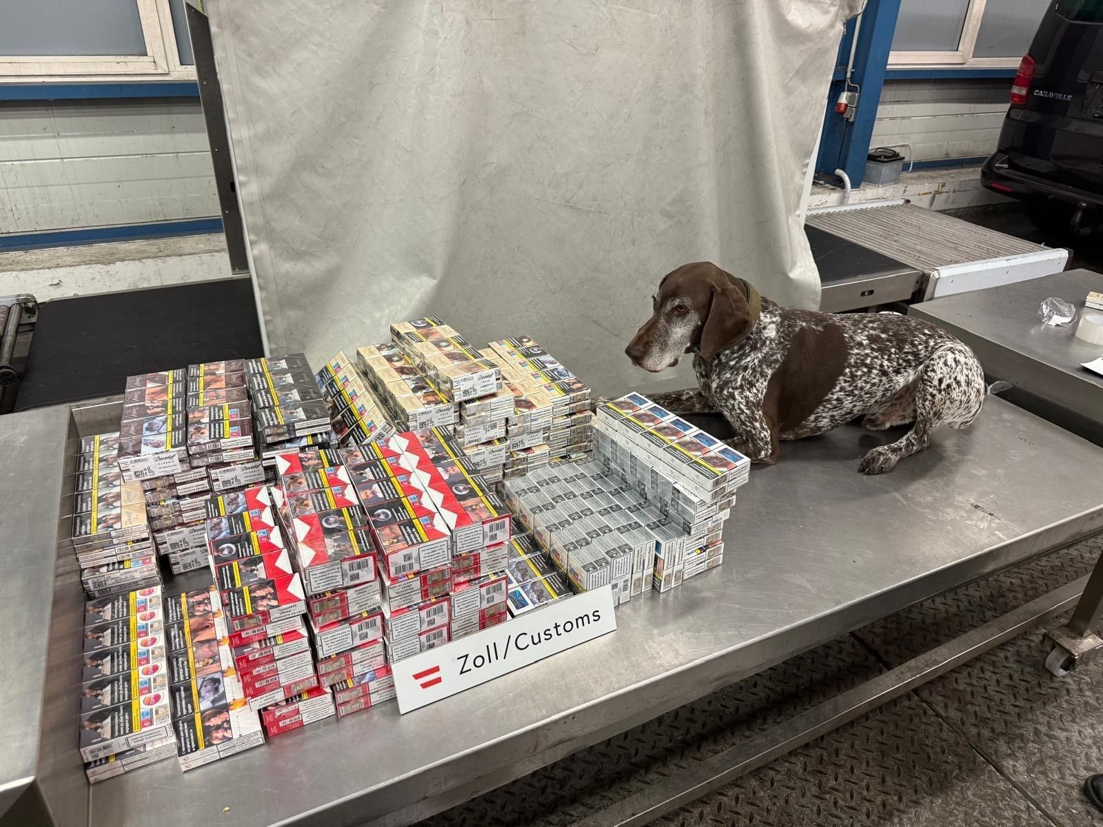 Spürnasen erschnüffelten geschmuggelte Zigaretten. 