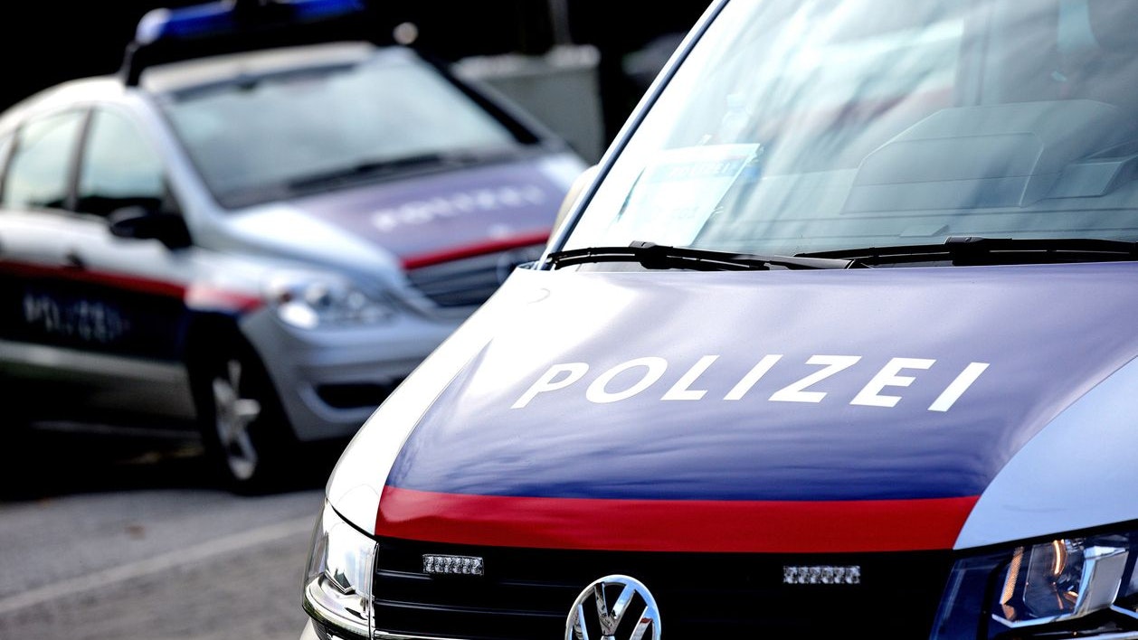 Heute.at - Tote Tiere auf Hof! Bauer blockiert Ausfahrt mit Bagger