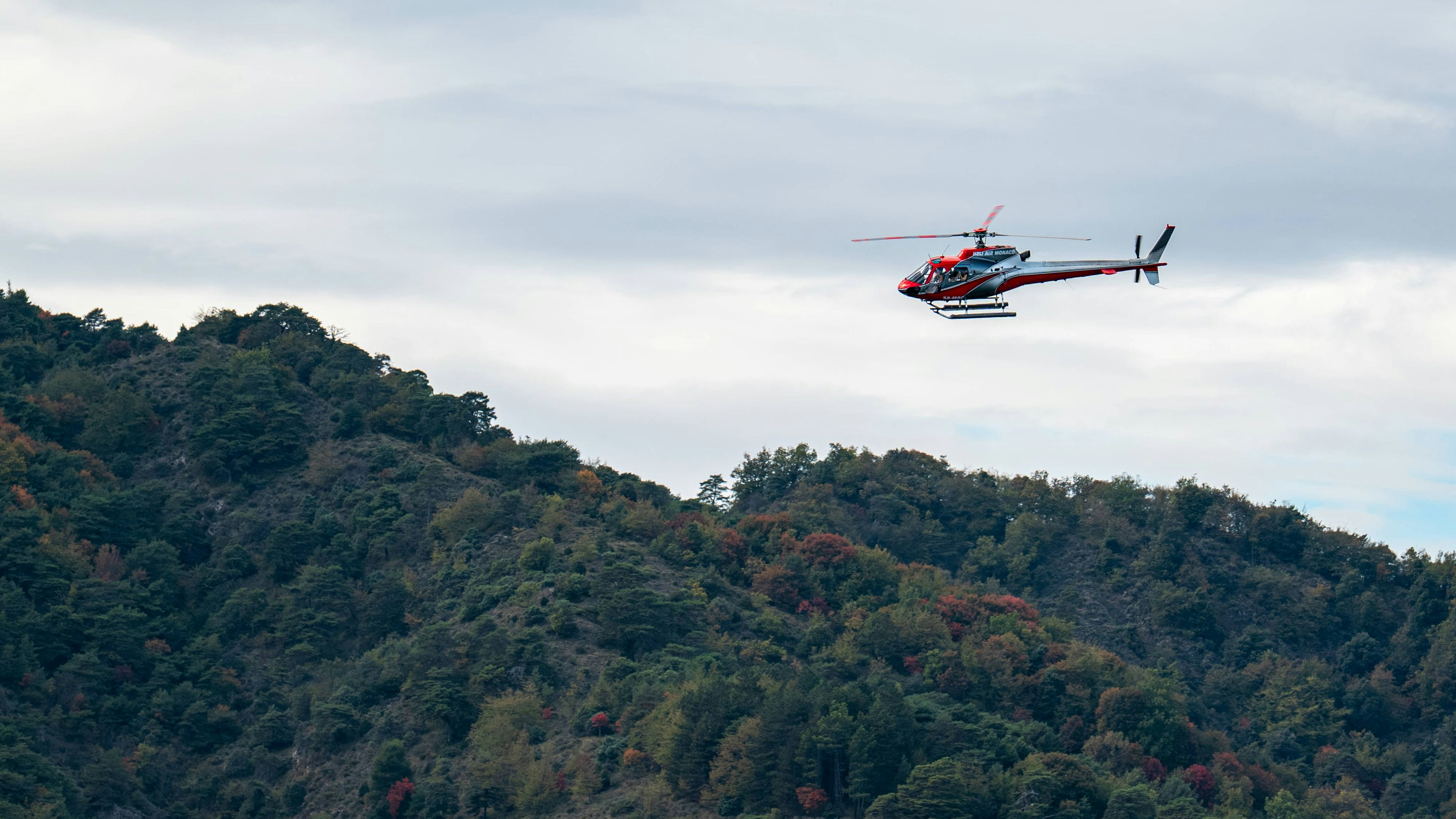 Heute.at - Große Suchaktion! Wanderin spurlos verschwunden