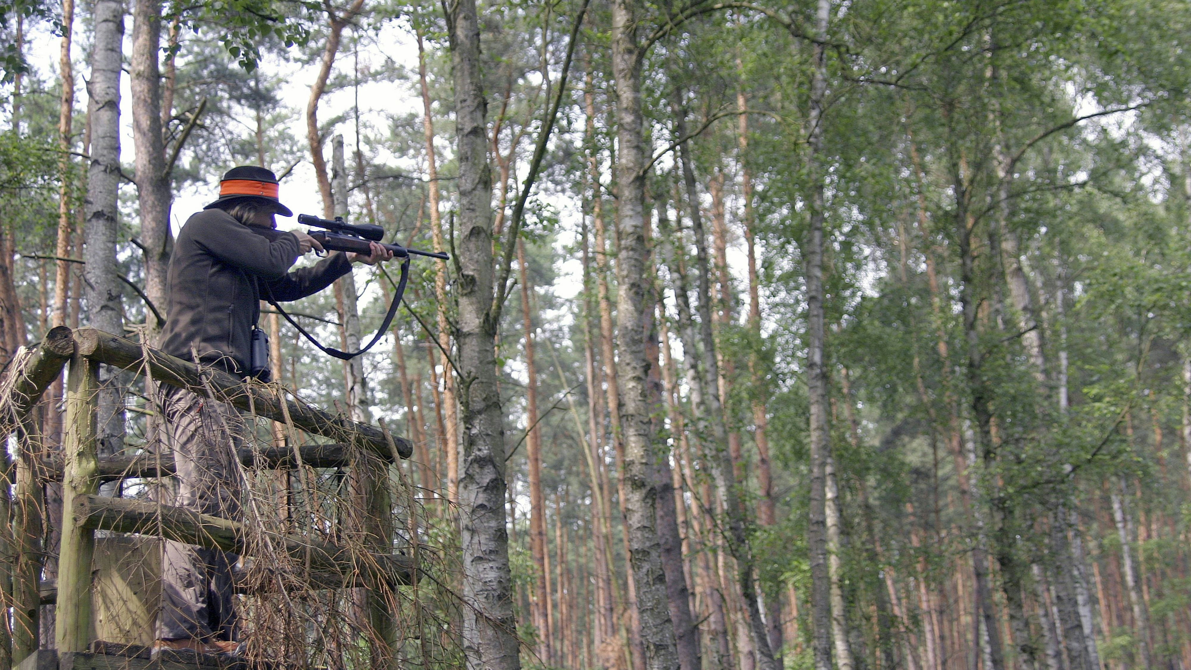Heute.at - Spaziergängerin macht grausigen Fund bei Brücke