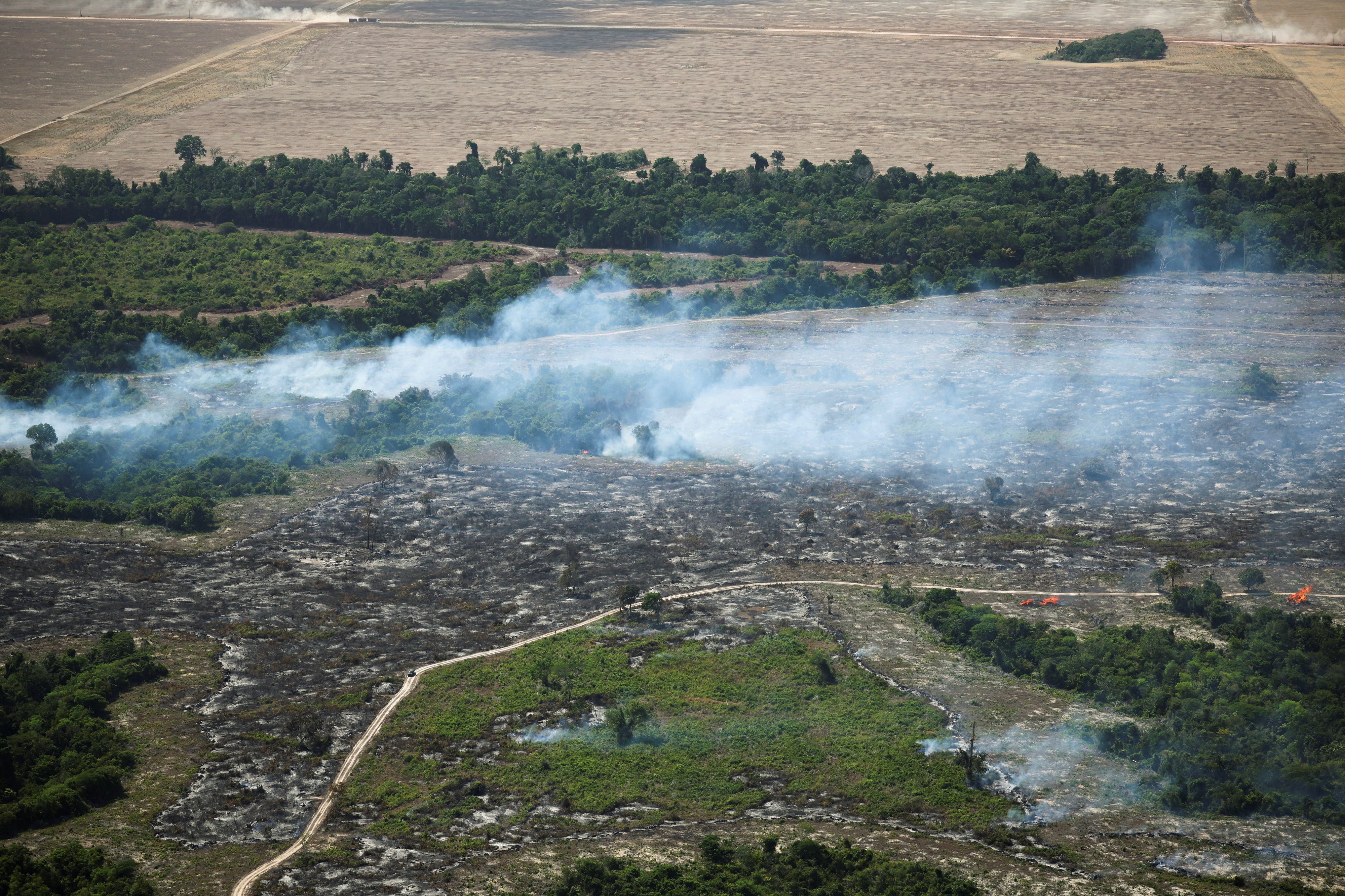 Eine Erwärmung von mehr als 1,5 Grad würde sich verheerend auf die Umwelt und die Menschen auswirken.