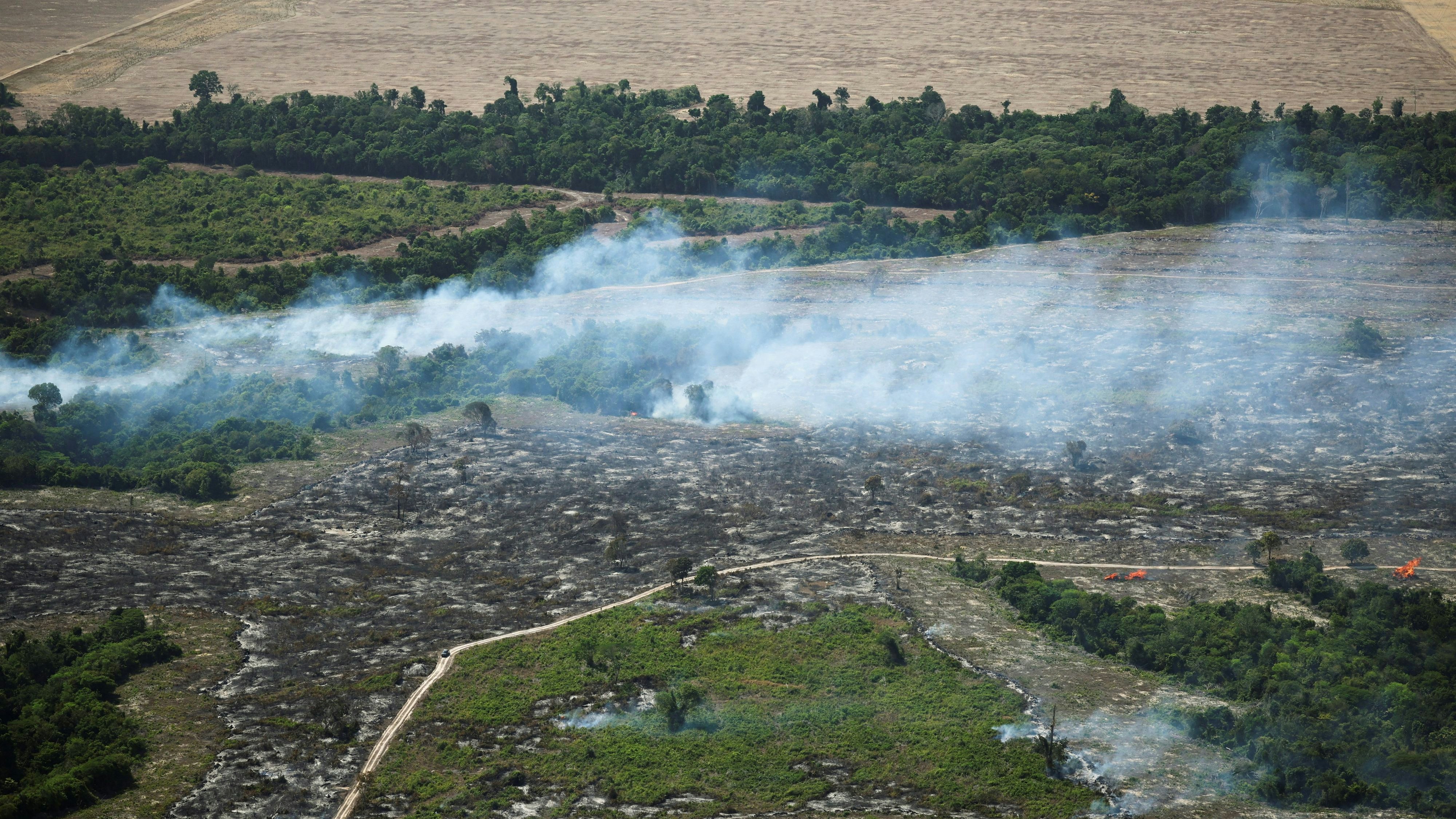 Heute.at - Wir sind gescheitert! Was nun noch zu tun bleibt