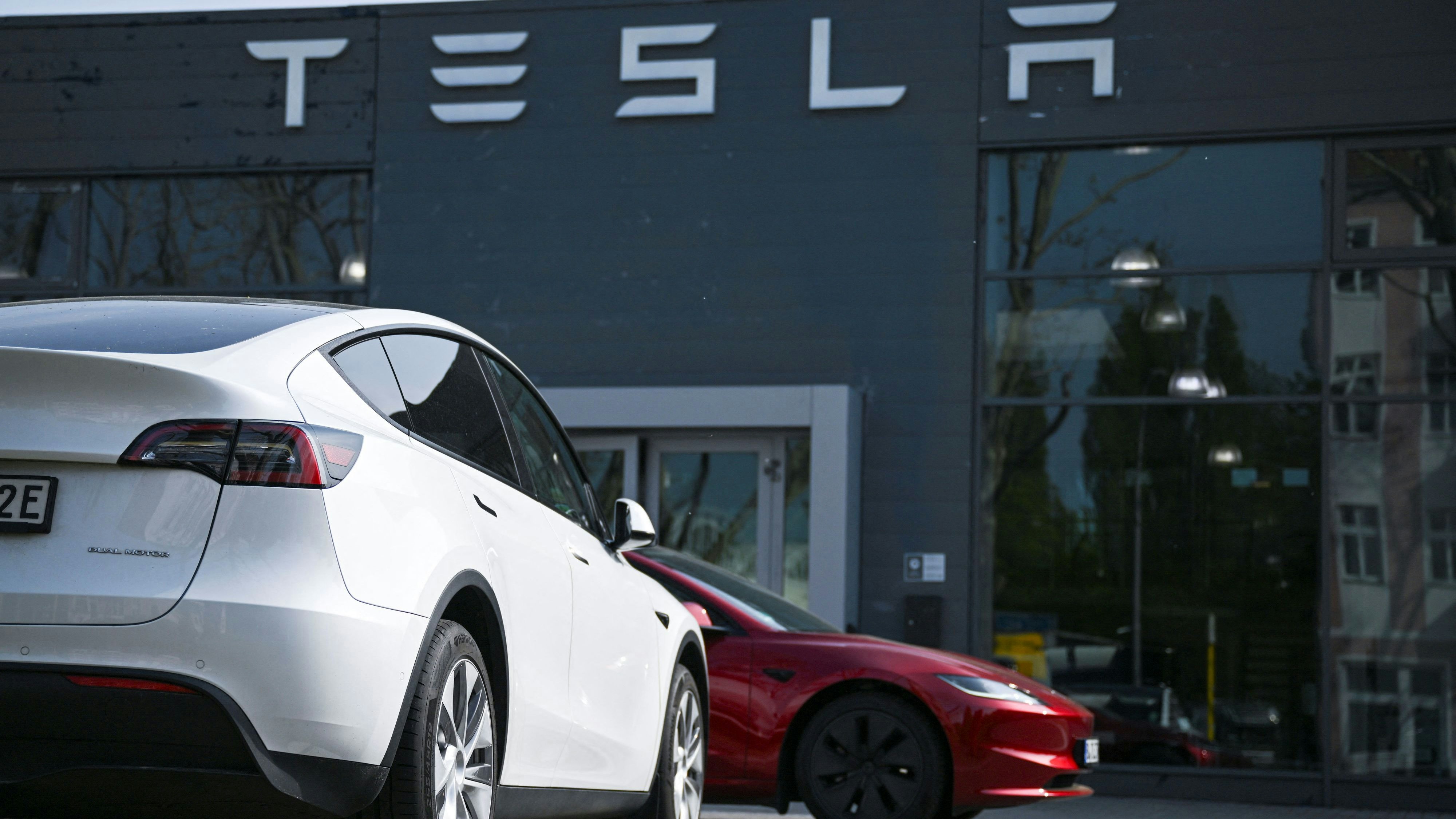 Am häufigsten wird Tesla genannt – 41 Prozent der Teilnehmer gaben an, das Unternehmen von US-Tech-Milliardär Elon Musk bewusst zu meiden.