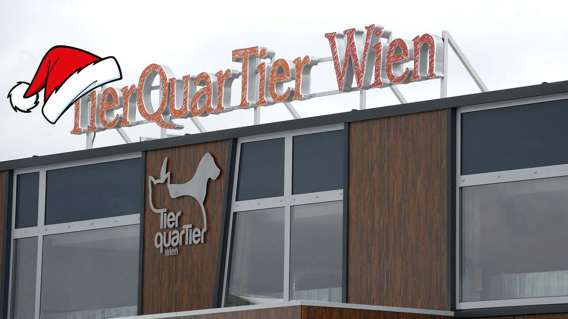 Heute.at - Hier darfst du nur im Advent hinter die Kulissen