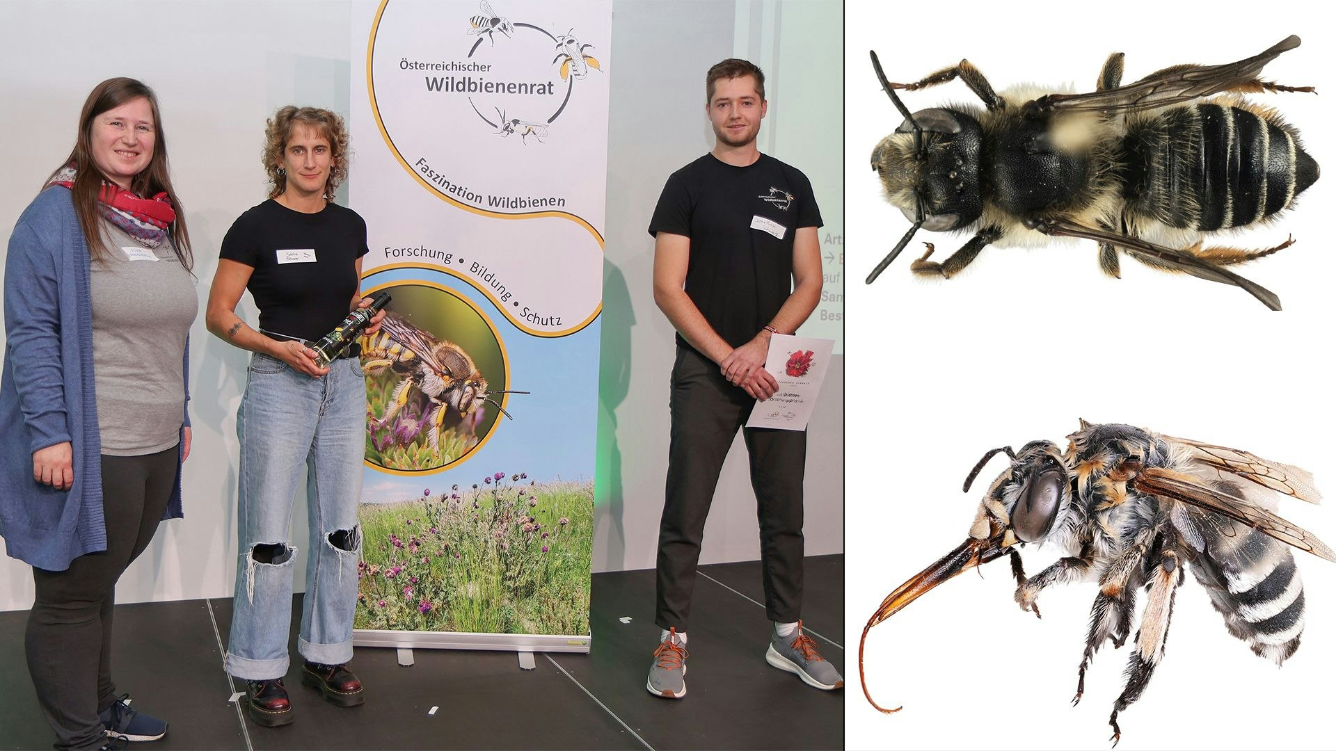 Heute.at - Dieser Fund hat einen größeren Wert als Gold