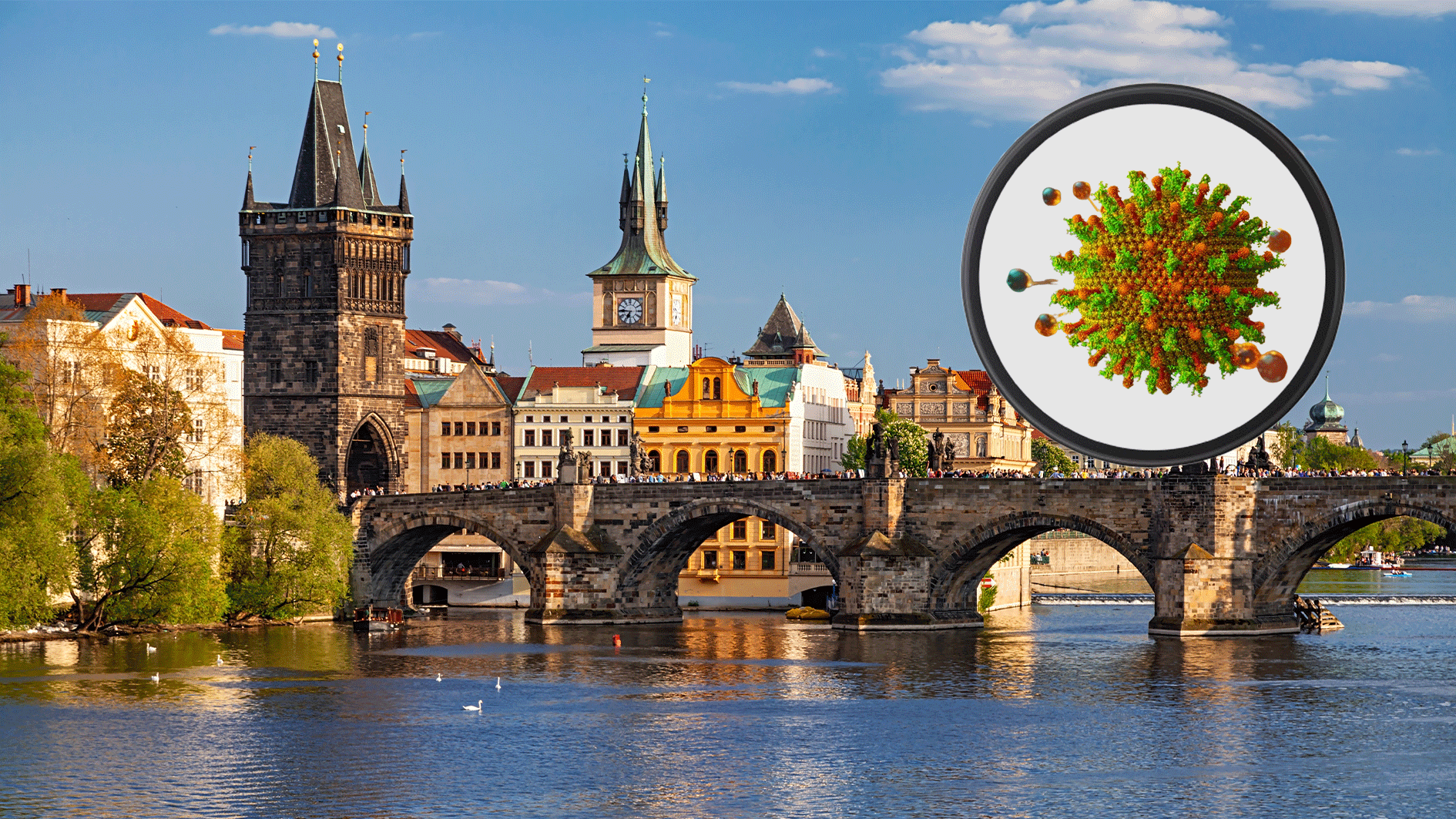 Besonders betroffen von der Hepatitis A-Welle sind Prag, Mittelböhmen und der Bezirk Karlsbad.