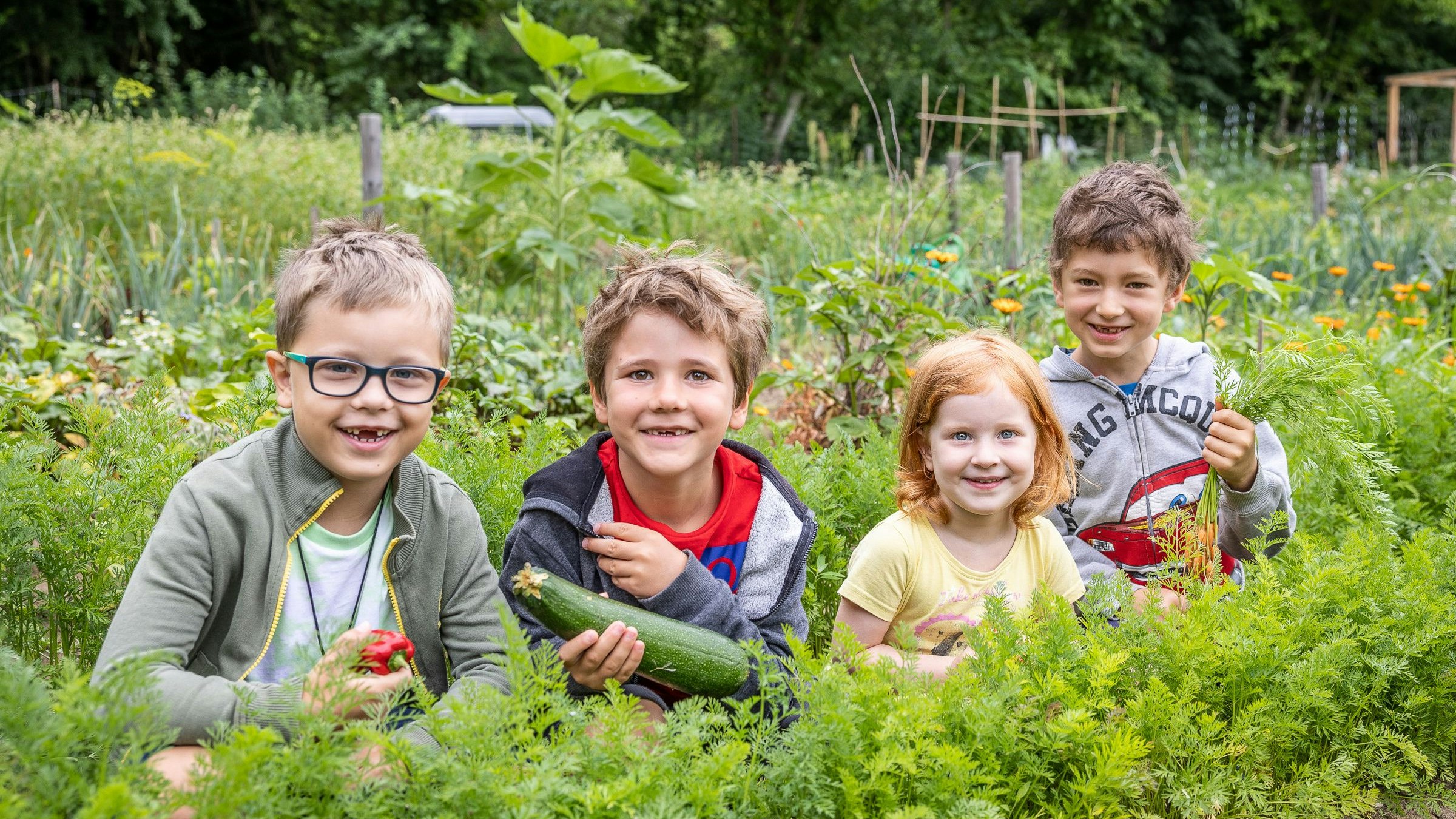 Heute.at - 550 Gärtner gesucht – innovativem Projekt droht das Aus