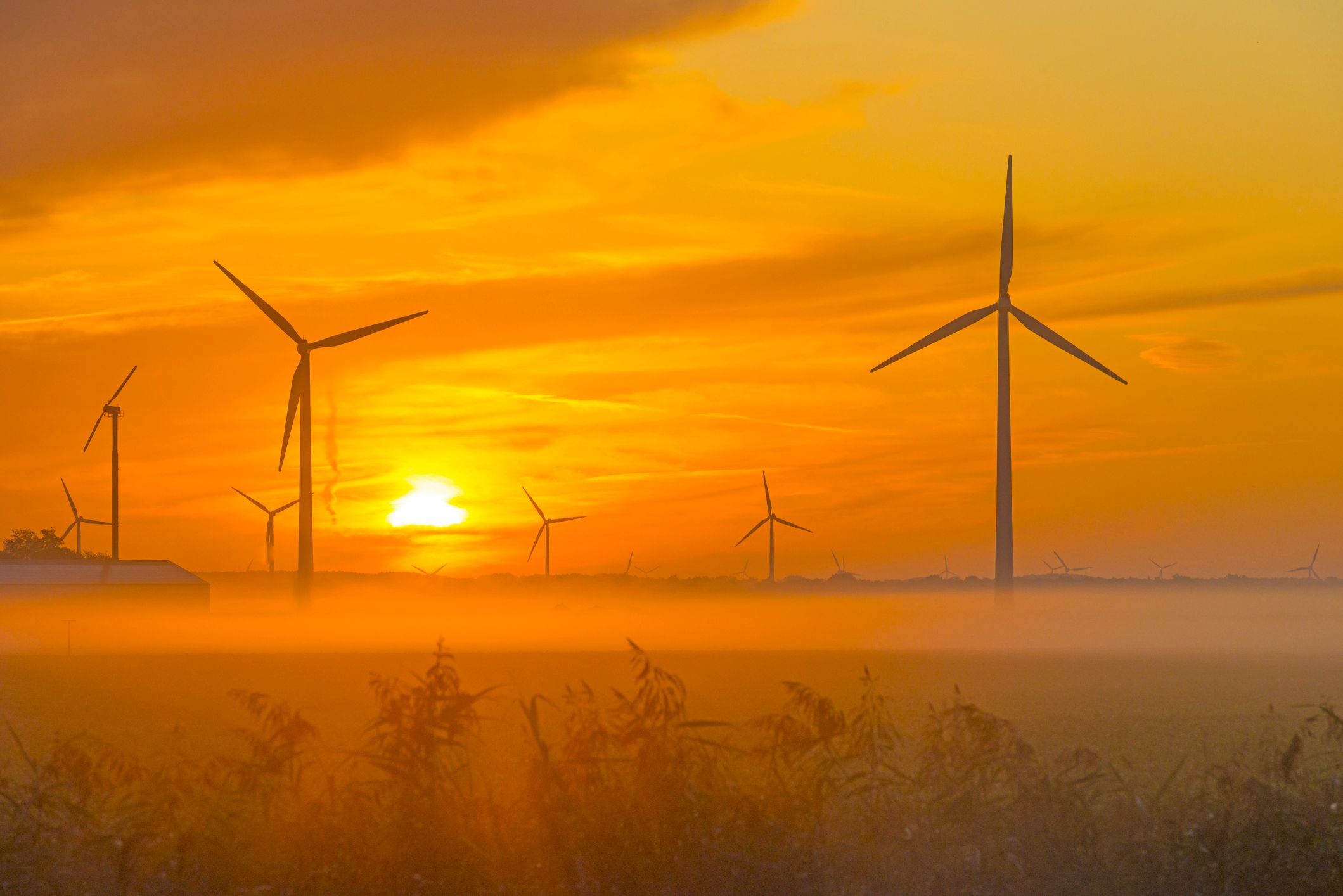 Heute.at - Neue Studie – Klimawende kann (noch) geschafft werden