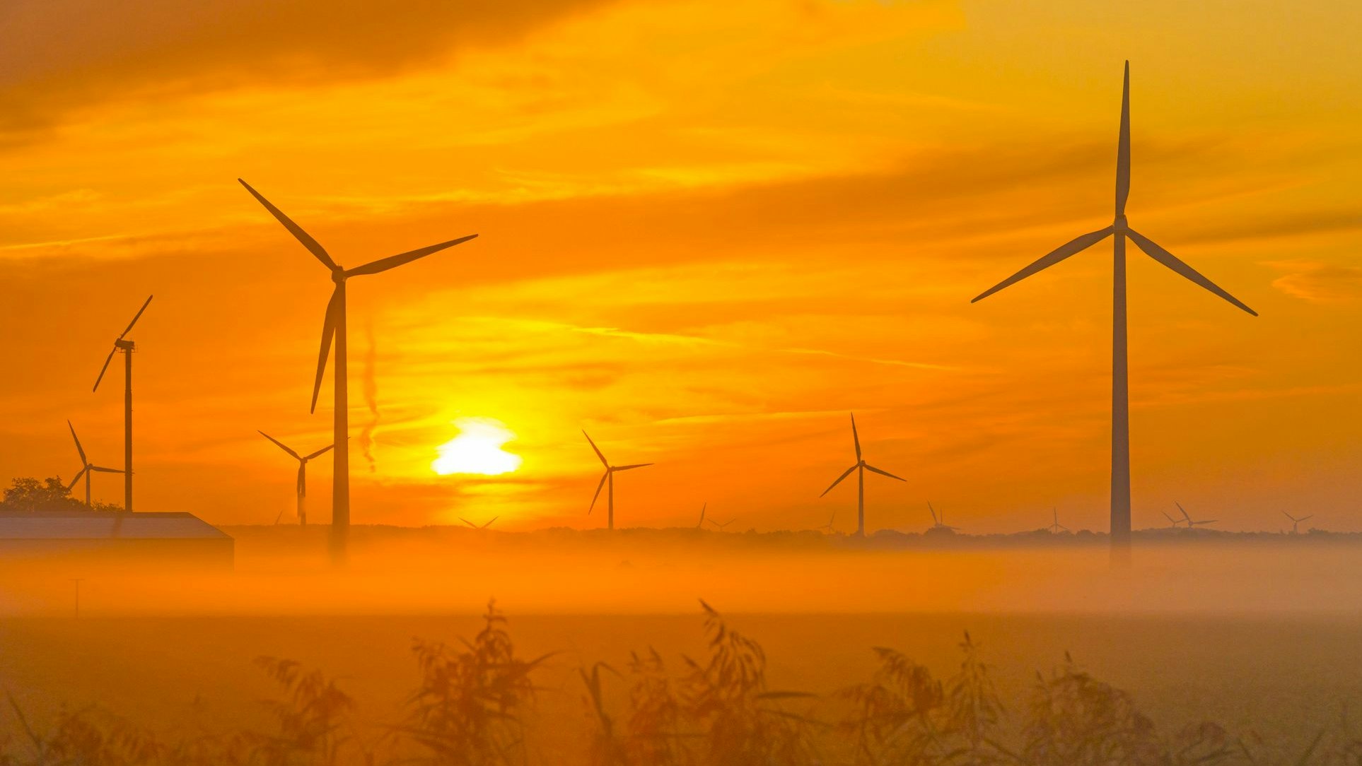 Sun shines on wind turbines in a foggy field at sunrise in summer
