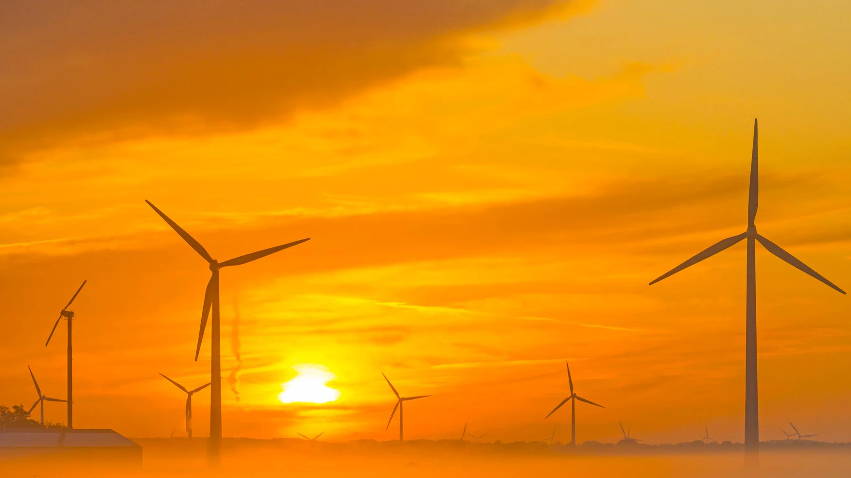 Sun shines on wind turbines in a foggy field at sunrise in summer