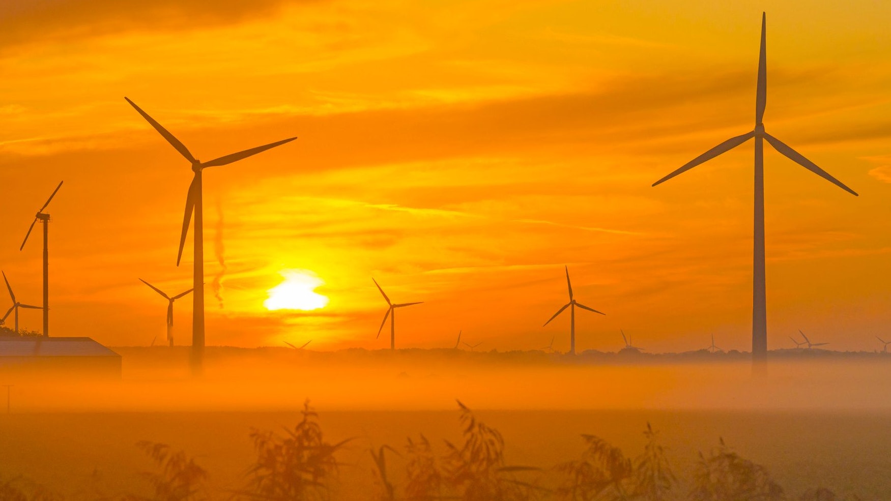 Heute.at - Neue Studie – Klimawende kann (noch) geschafft werden