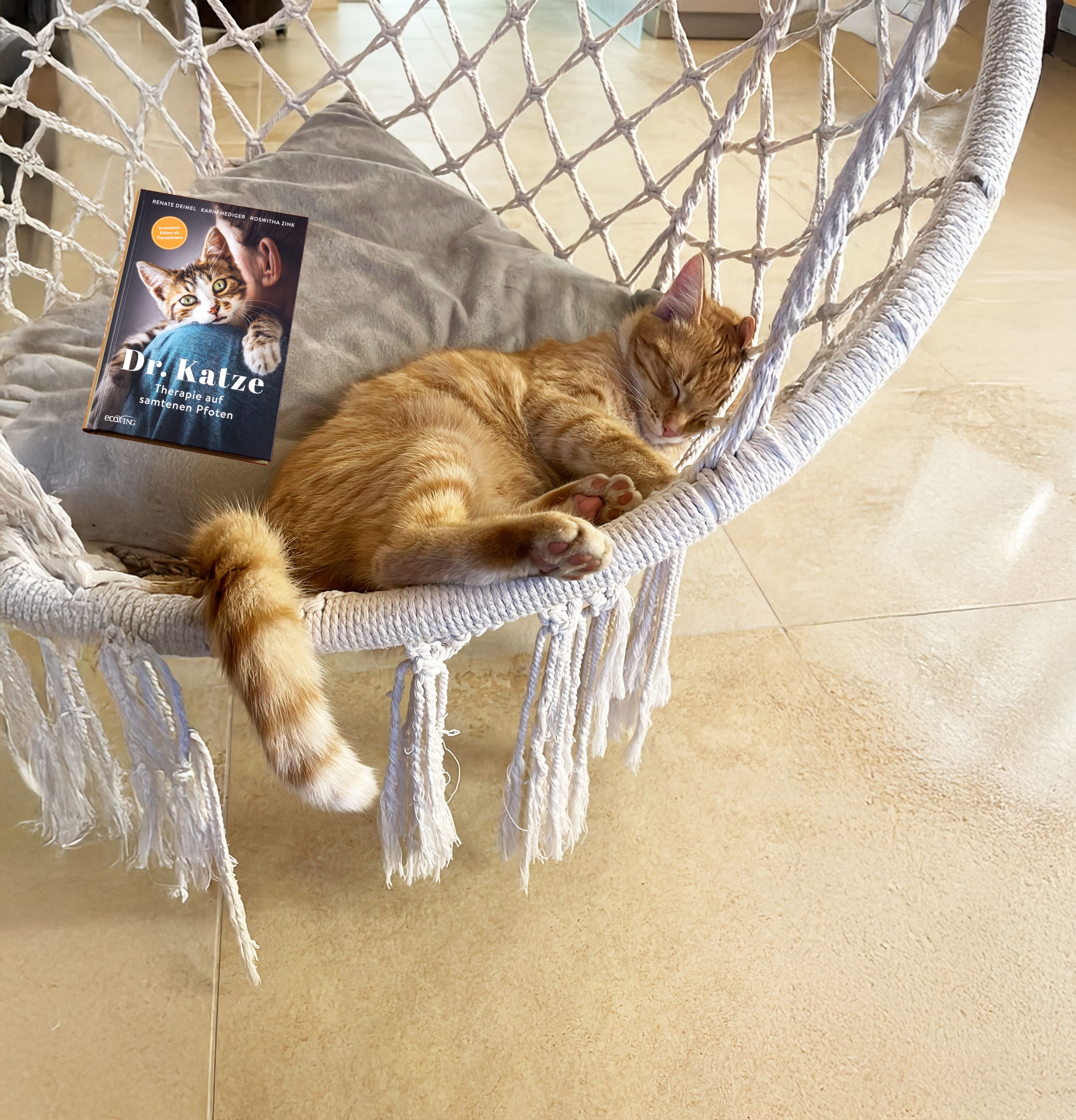 Katzen haben ein feines Sensorium und helfen bei Seelenschmerz.