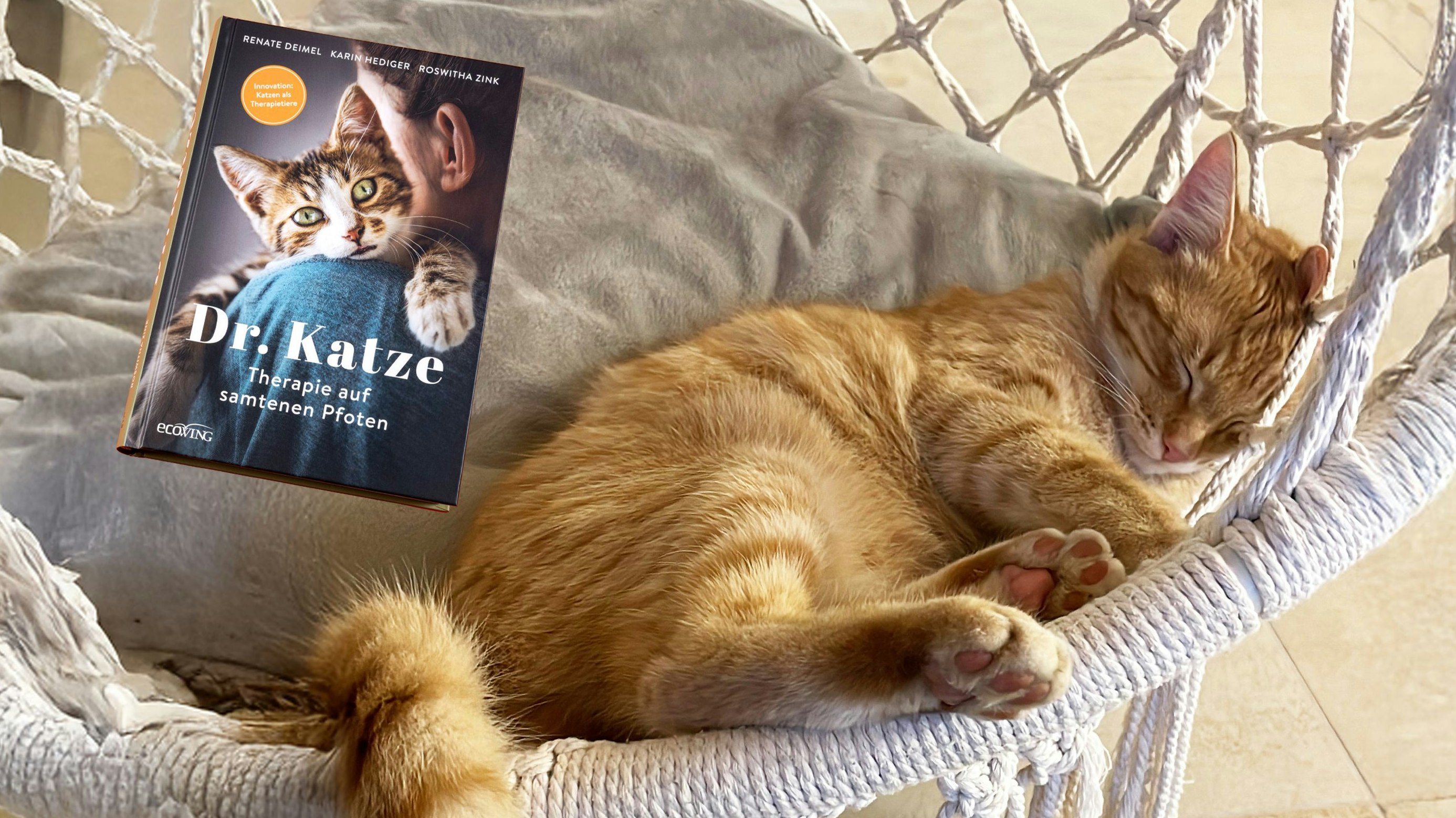 Heute.at - Hilfe auf Samtpfoten: Schnurren gegen Seelenschmerz