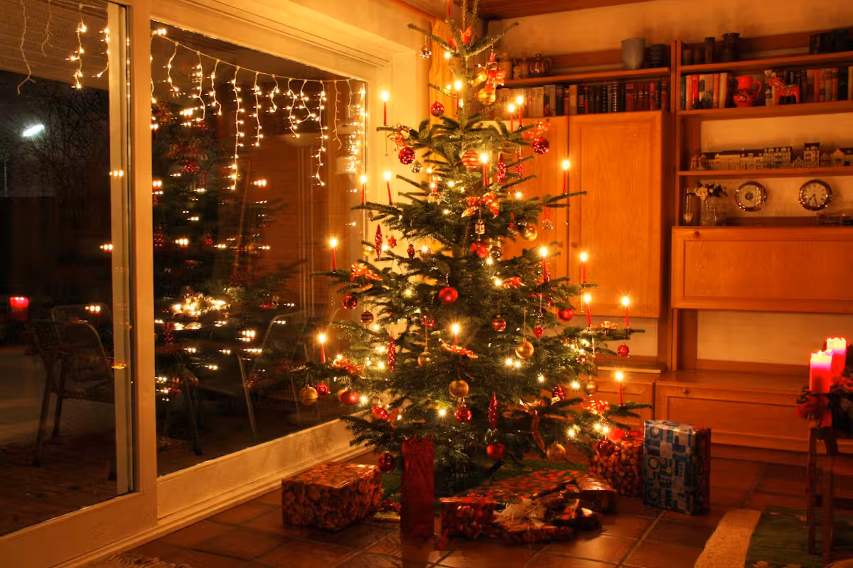 Die britische Supermarktkette Tesco verkauft im Laden keine Weihnachtsbäume, sondern 