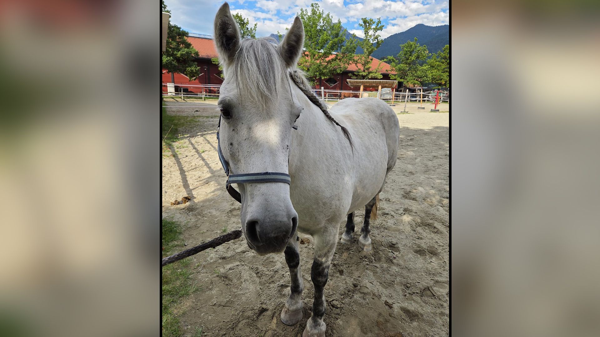 Minus 100 Kilogramm! "Mariposa" wird langsam zum Schmetterling.