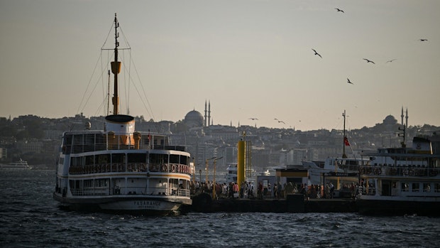 Giftwanzen – darum starb vierköpfige Familie