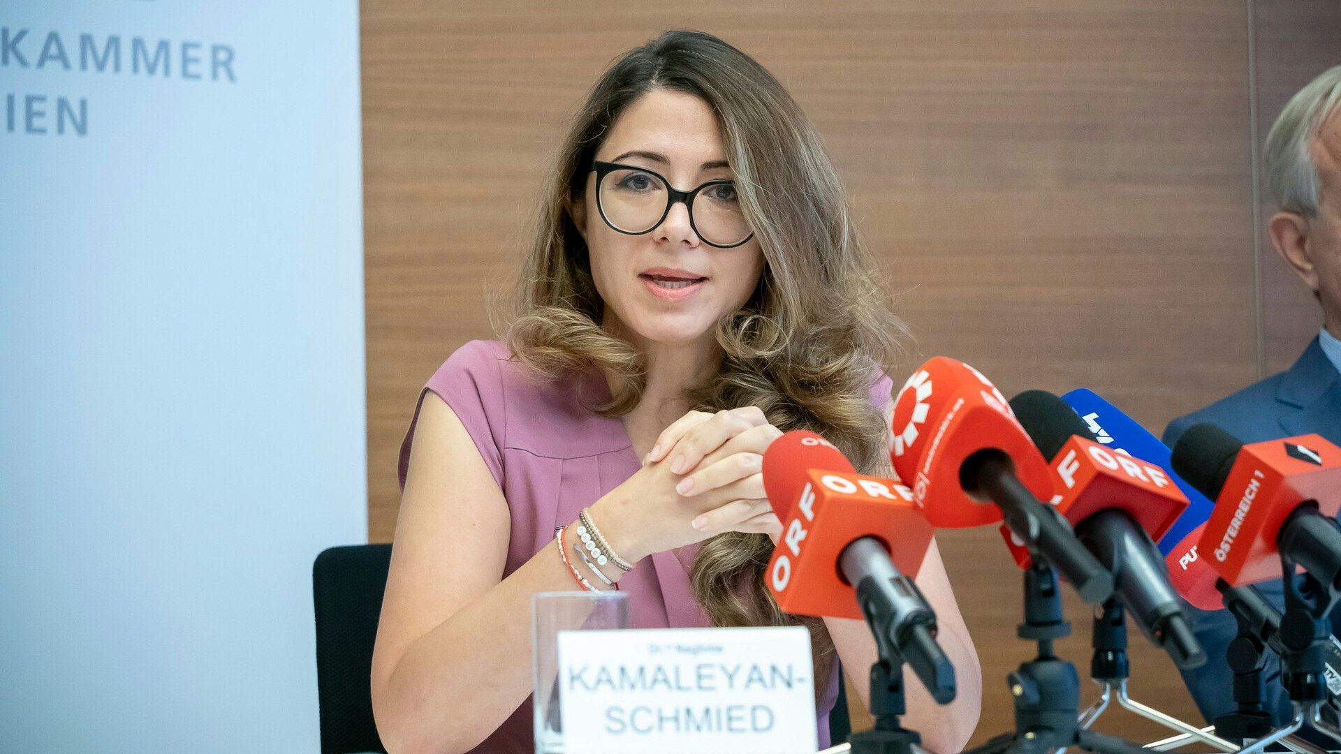 Naghme Kamaleyan-Schmied von der Kammer für Ärztinnen und Ärzte rät dringend, sich gegen Hepatitis A impfen zu lassen.