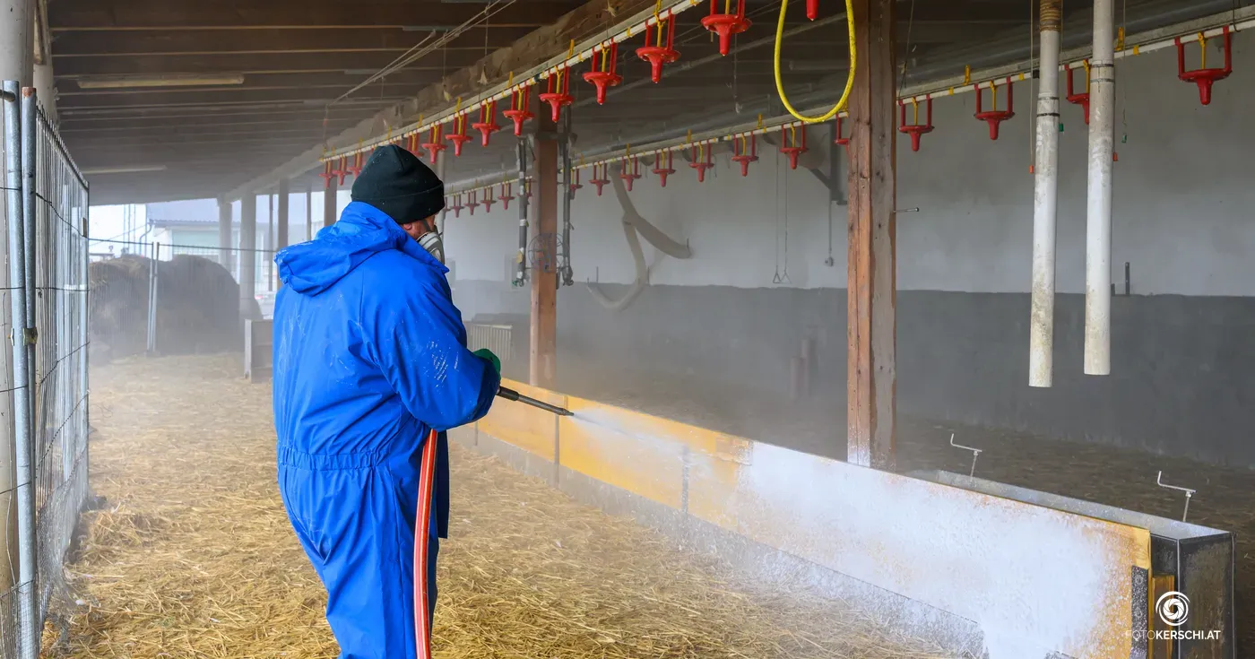 Ein Betrieb in Steyr in Oberösterreich ist von der Vogelgrippe betroffen.