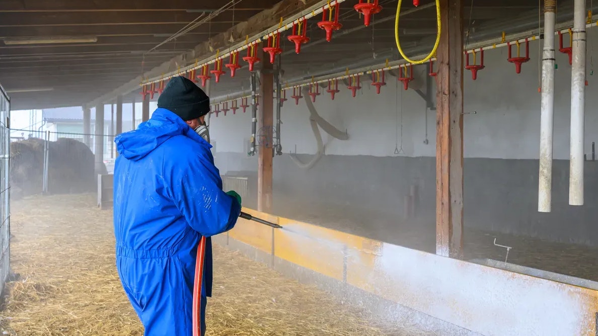 Heute.at - Nach Ausbruch von Virus Hochrisikogebiet ausgerufen