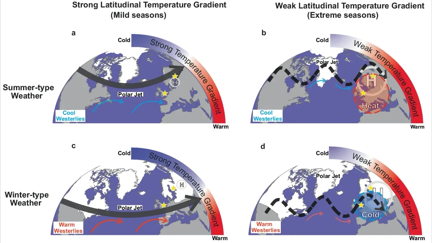 Einfluss des Breitengradienten der Temperatur auf die wichtigsten atmosphärischen Dynamiken über Europa und damit verbundene Klimaextreme im Sommer und Winter.