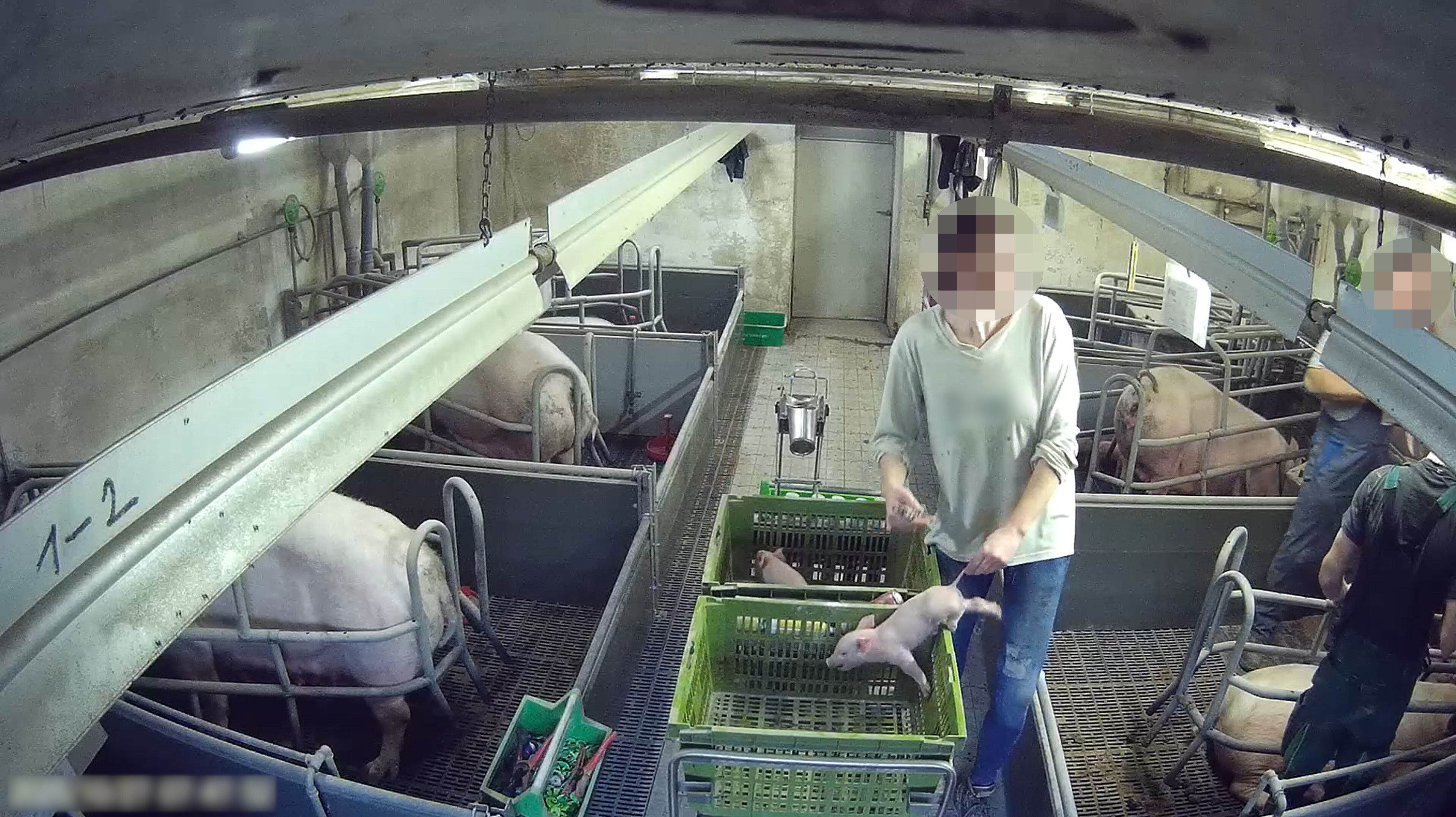 Jener Skandal-Betrieb soll ausgeforscht worden sein.